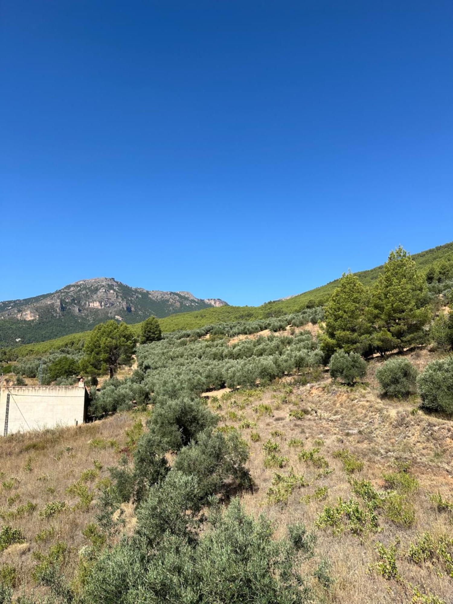 Holiday home Cerro Lobo