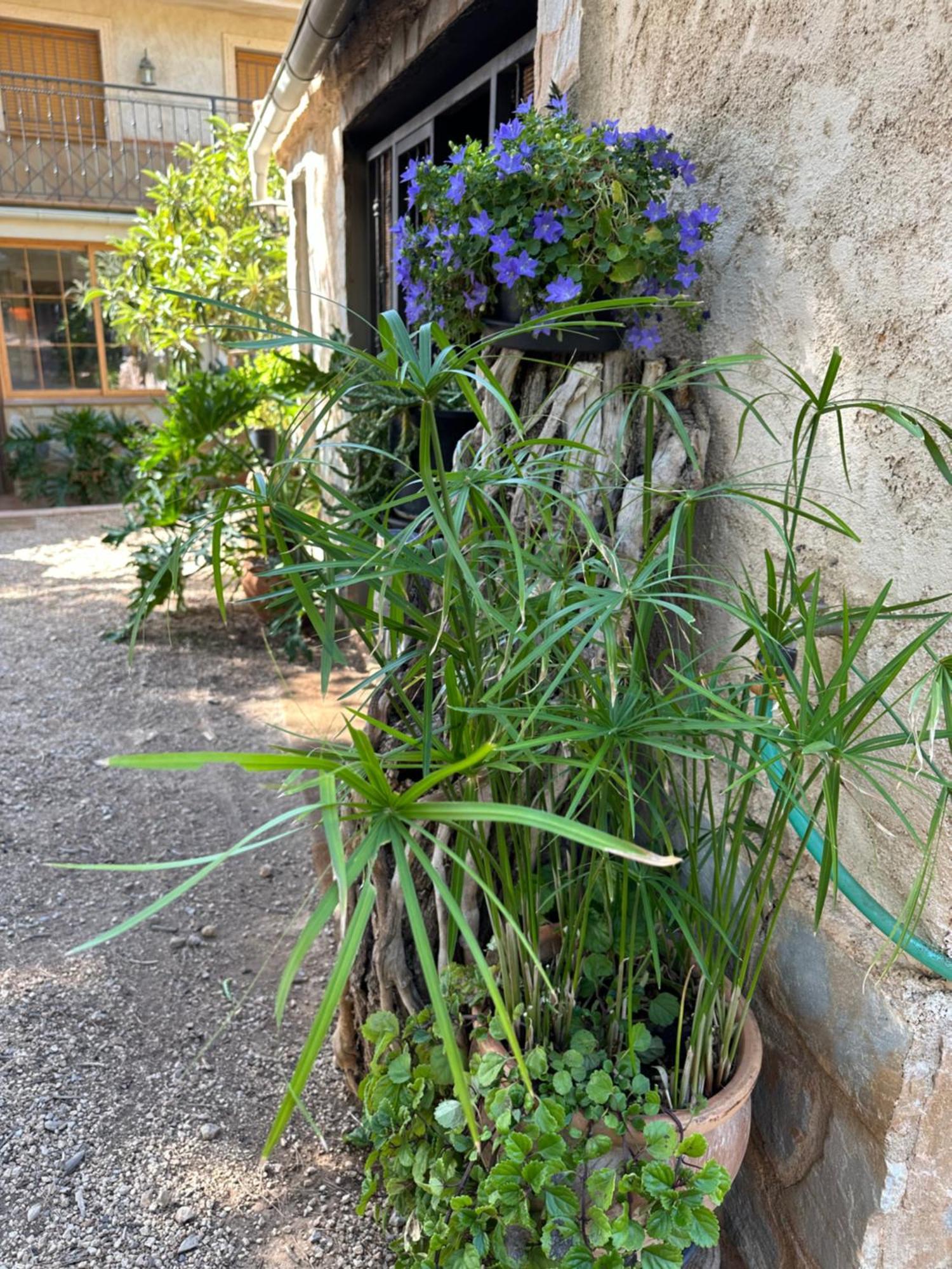 Cerro Lobo Holiday home Yeste