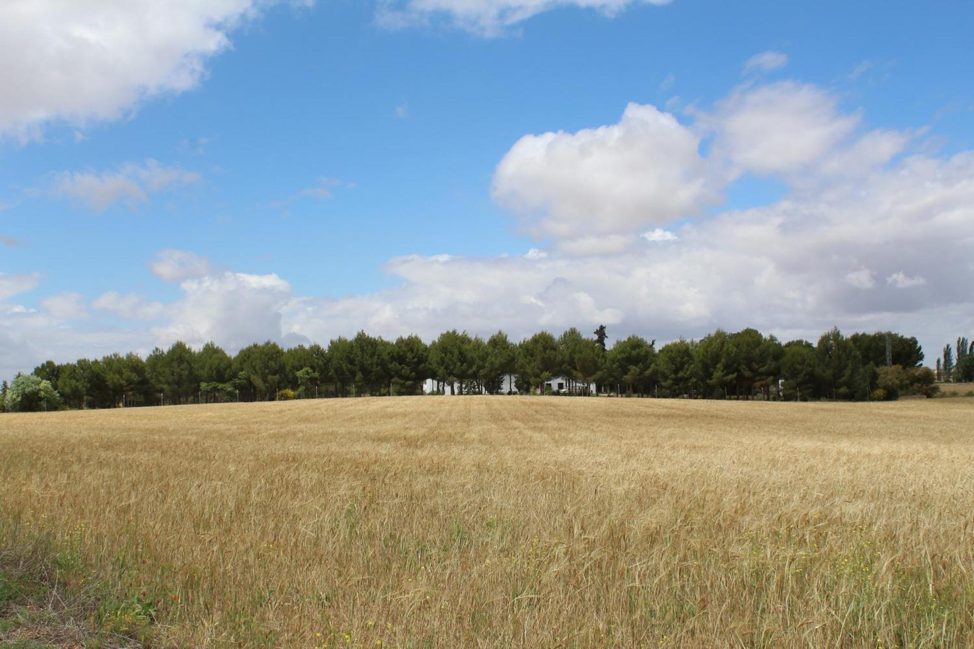 La Casa Del Marques Casa rural
