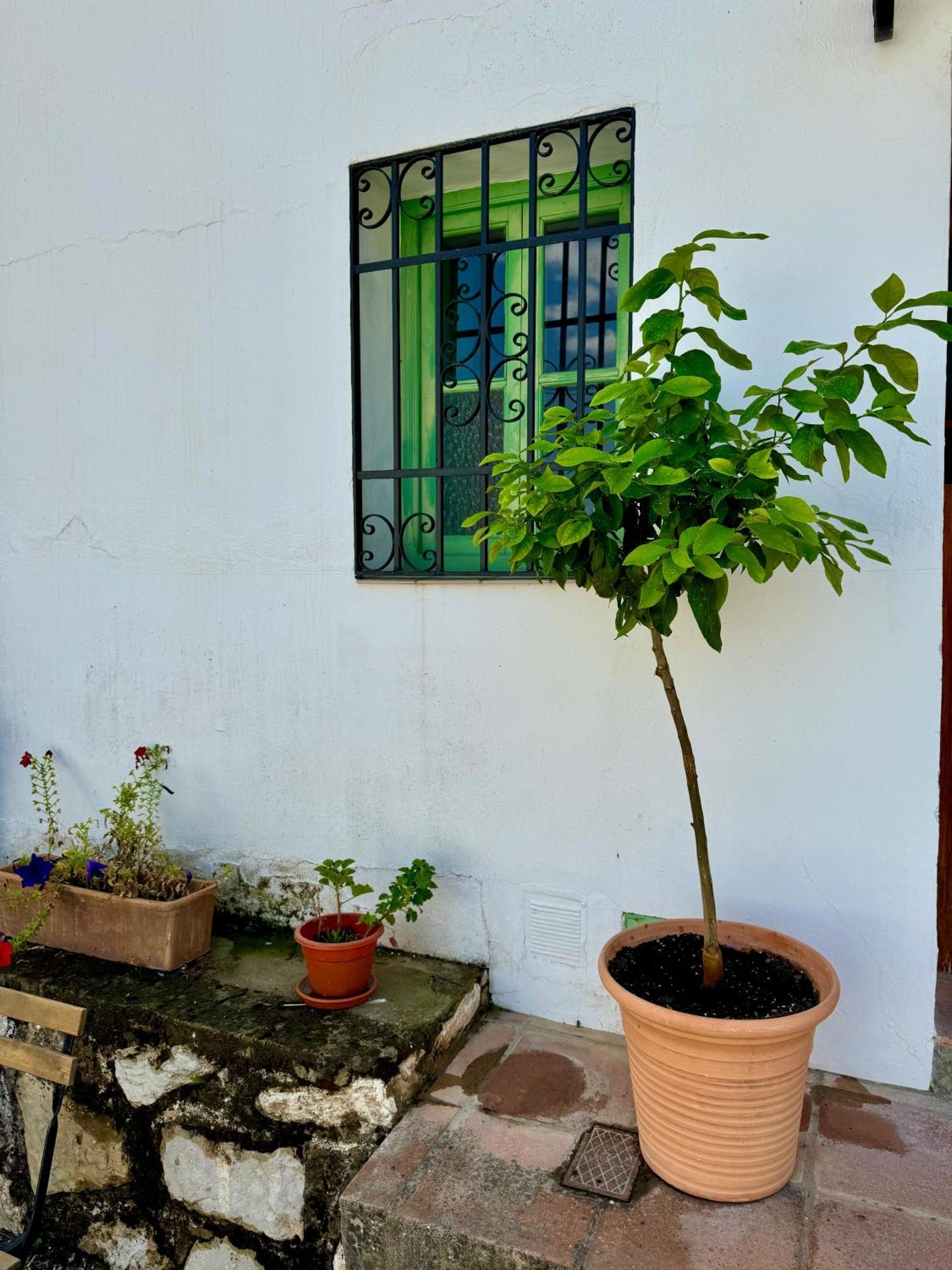 Holiday home Casa Leon *