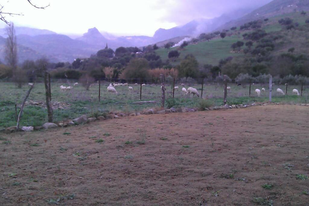 Casa rural Huerta La Terrona Grazalema