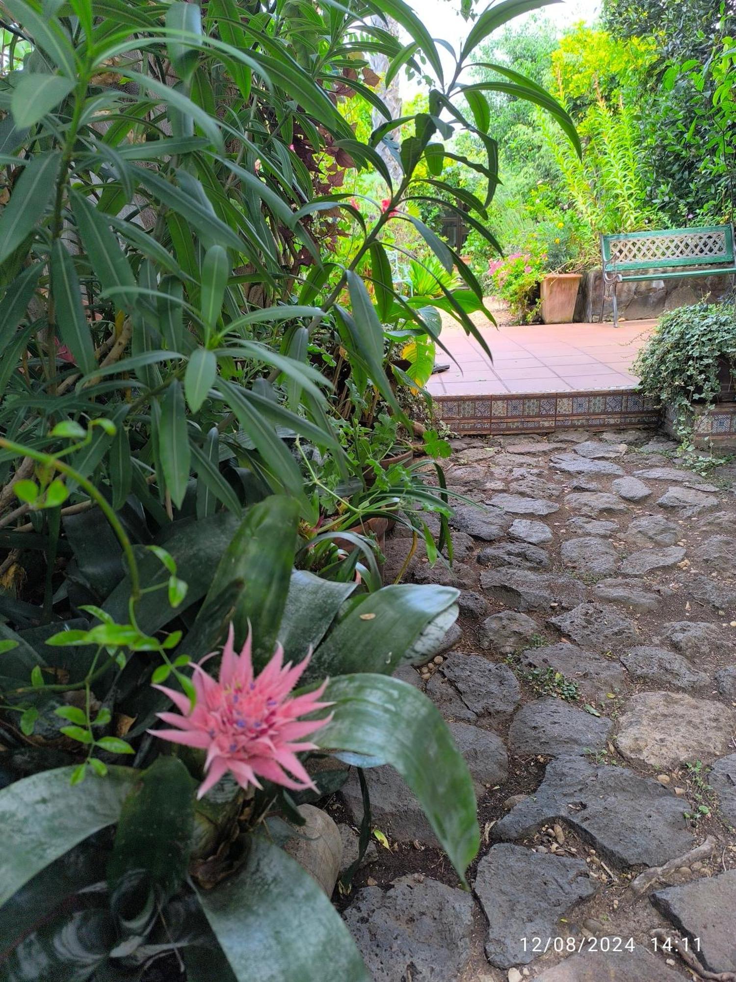 Casa Flora Loft