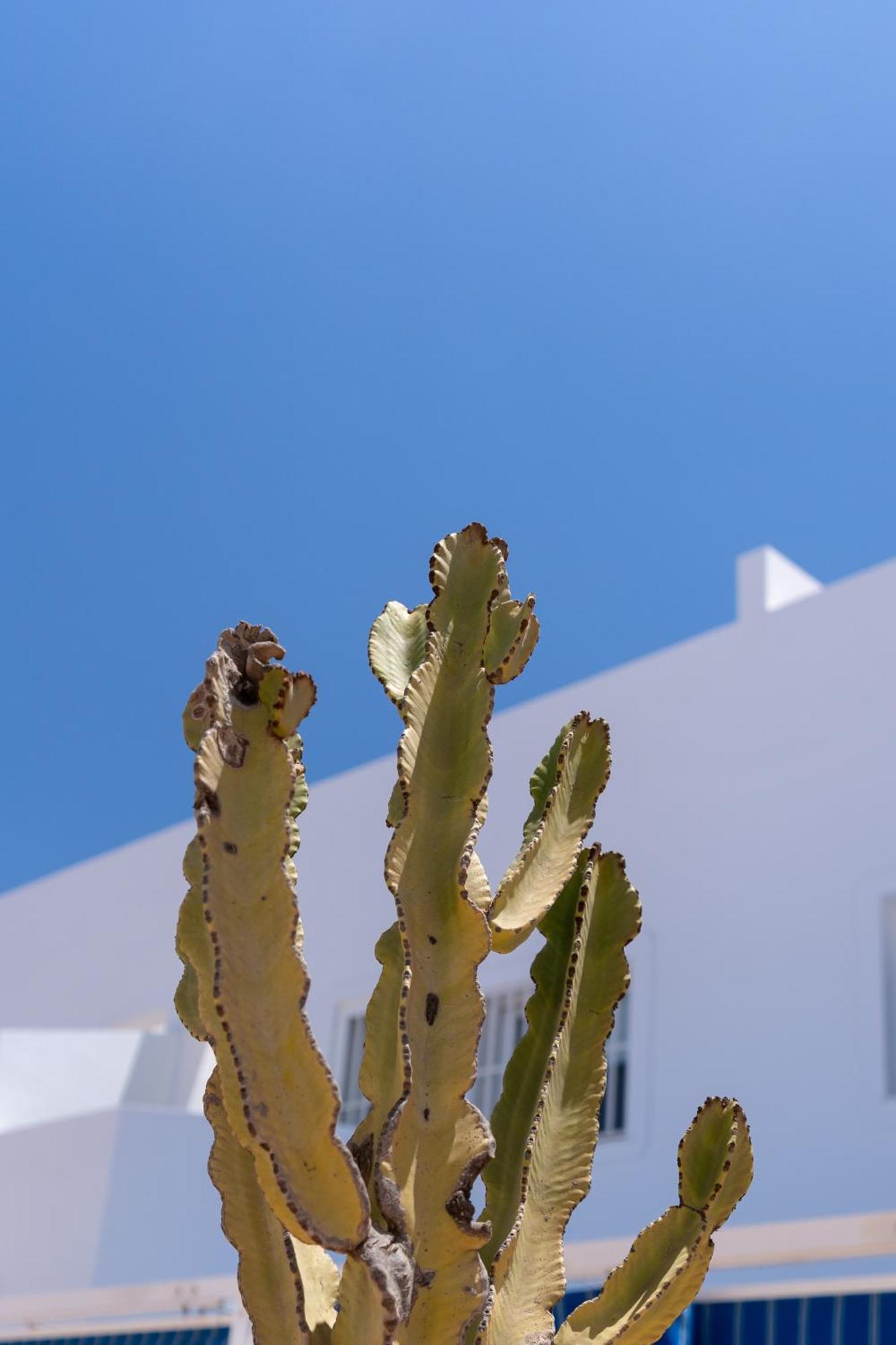 Apartamento Duplex Con Terraza Y Piscina