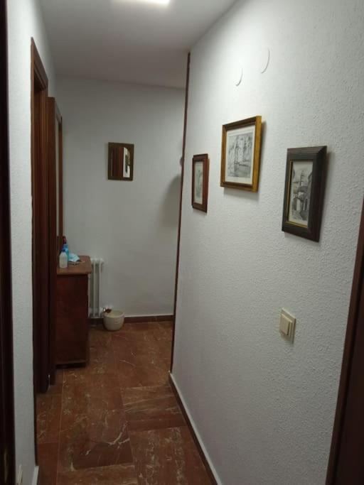 Gabucio En Apartamento