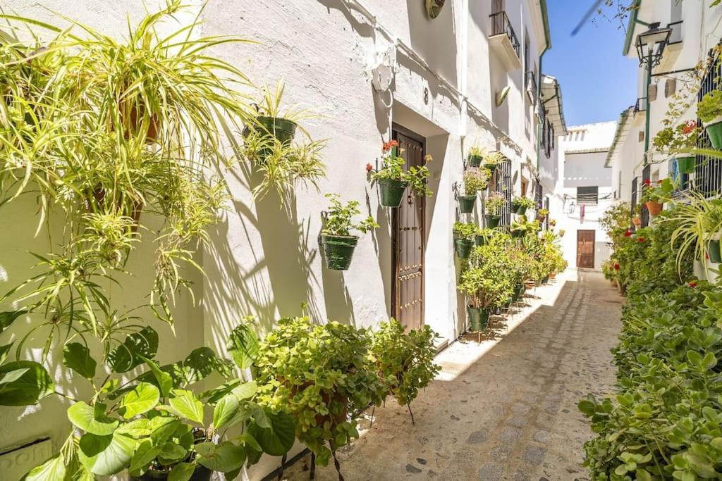 Casa Con Patio Y Terraza En Barrio Historico De La Villa, Junto Al Adarve