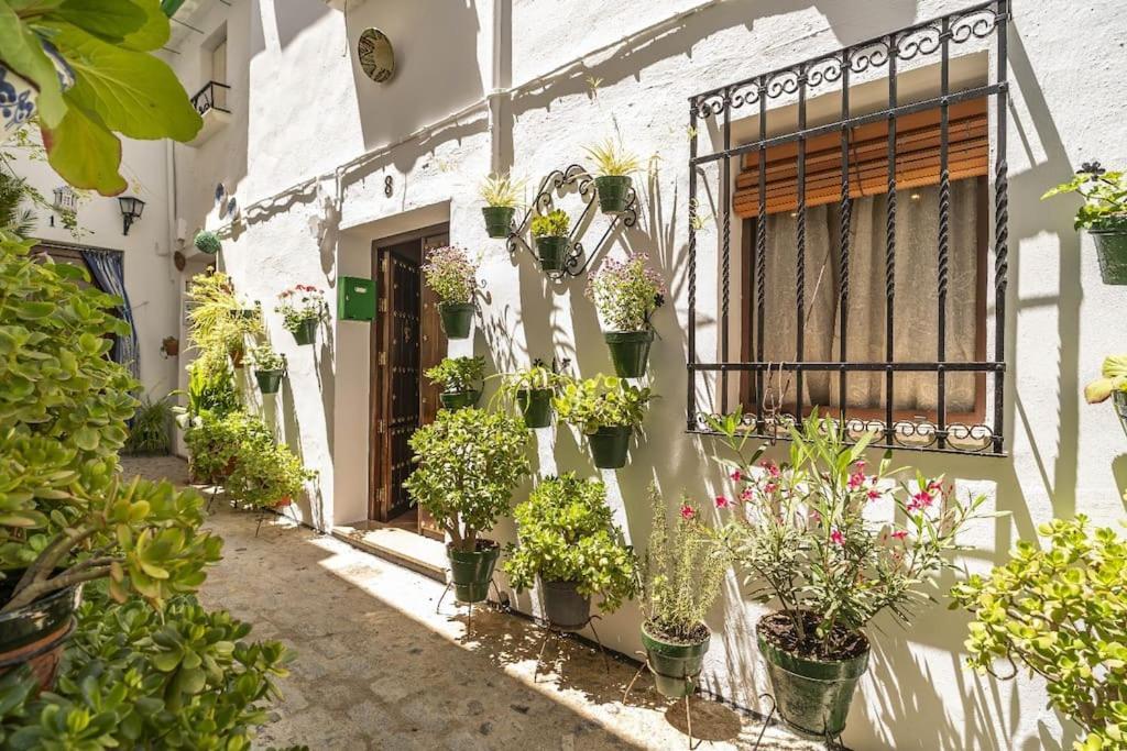 Casa Con Patio Y Terraza En Barrio Historico De La Villa, Junto Al Adarve