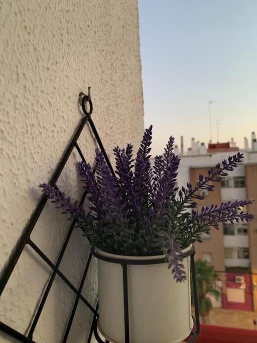 Anfitriones De Glamour - Albor De Sevilla Montequinto