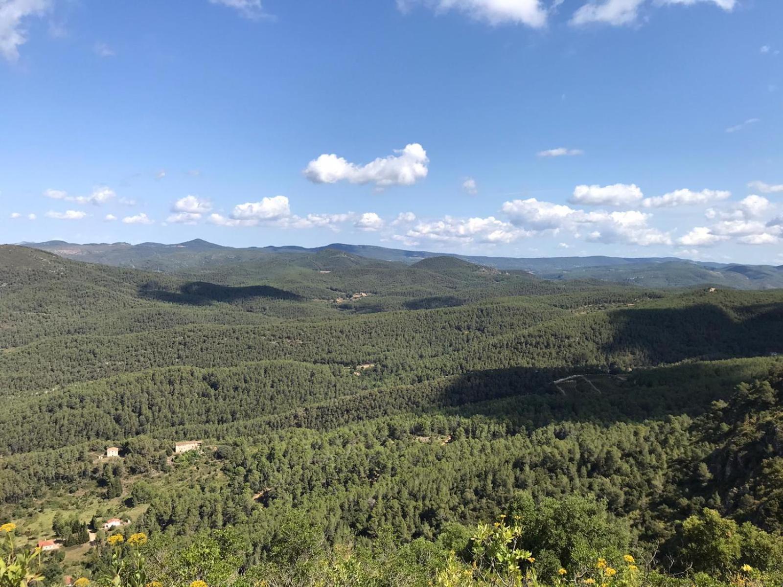 Torres De Selma - Eco El Pla de Manlleu