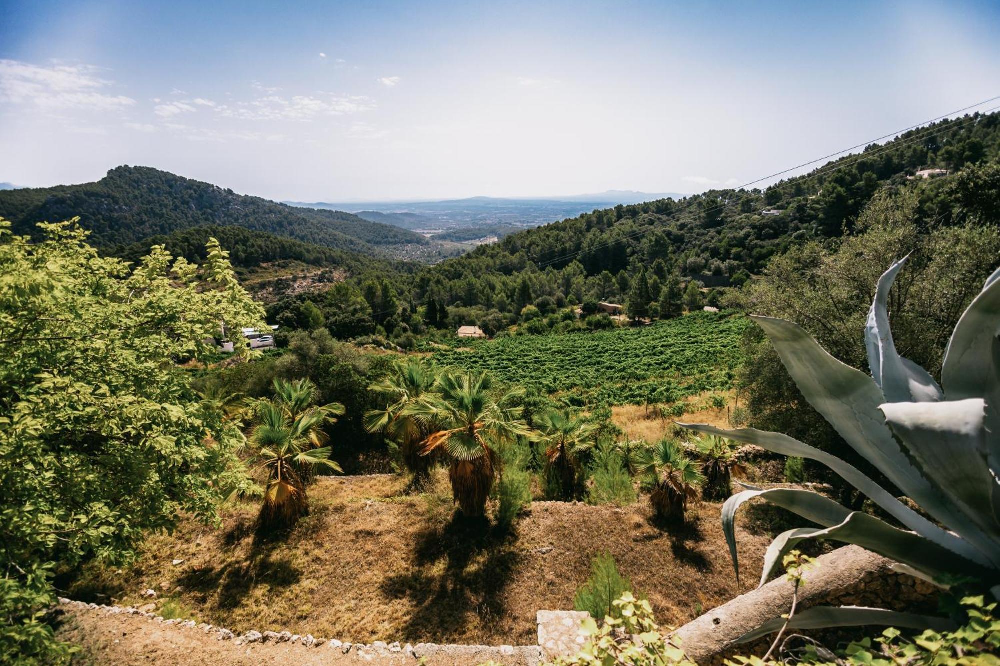 Hotel Del Marqués 4*