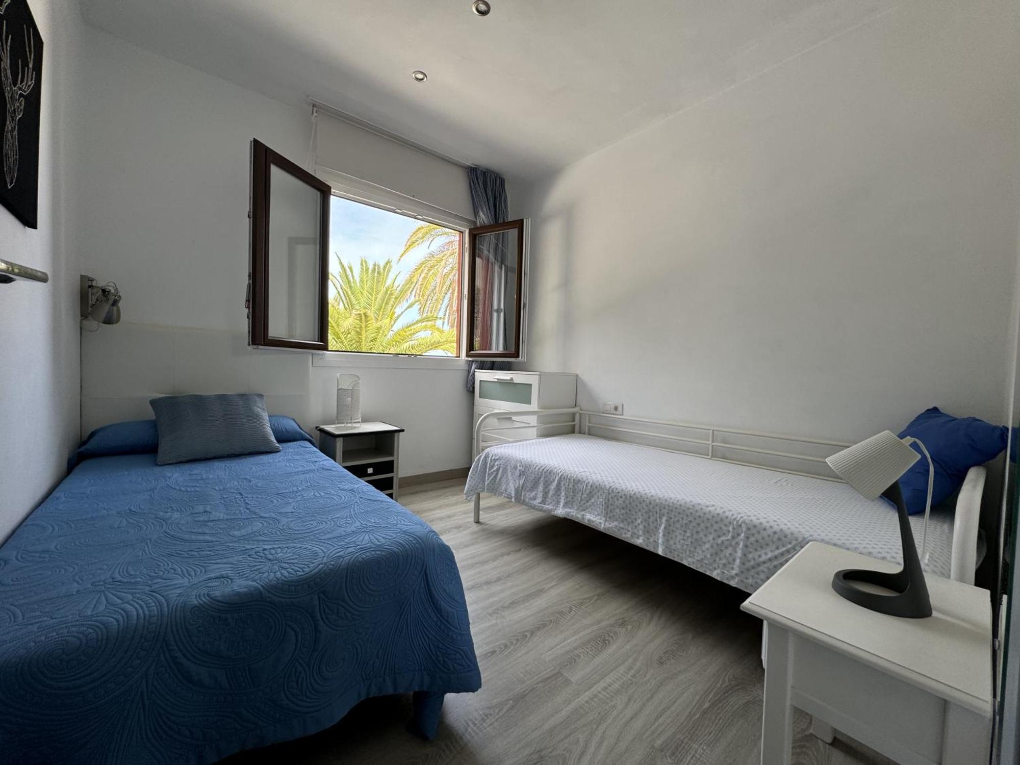Phoenix Canariensis Apartamento *