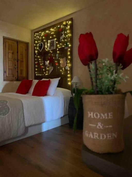 Apartamento Luxury Danna Plaza Mayor