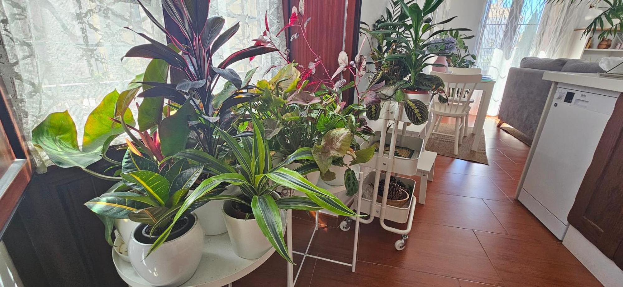 Apartamento Descalzos ángel