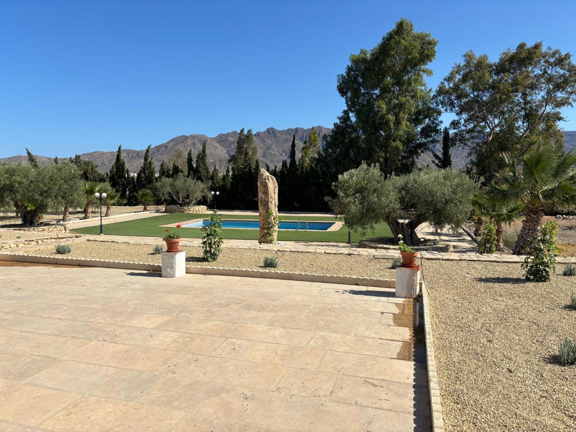 Siete Olivos *