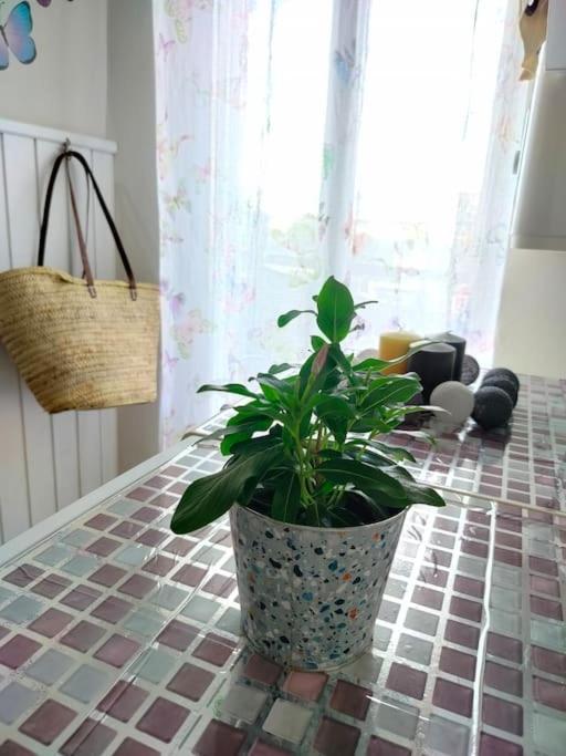 La Casita De Ivanna