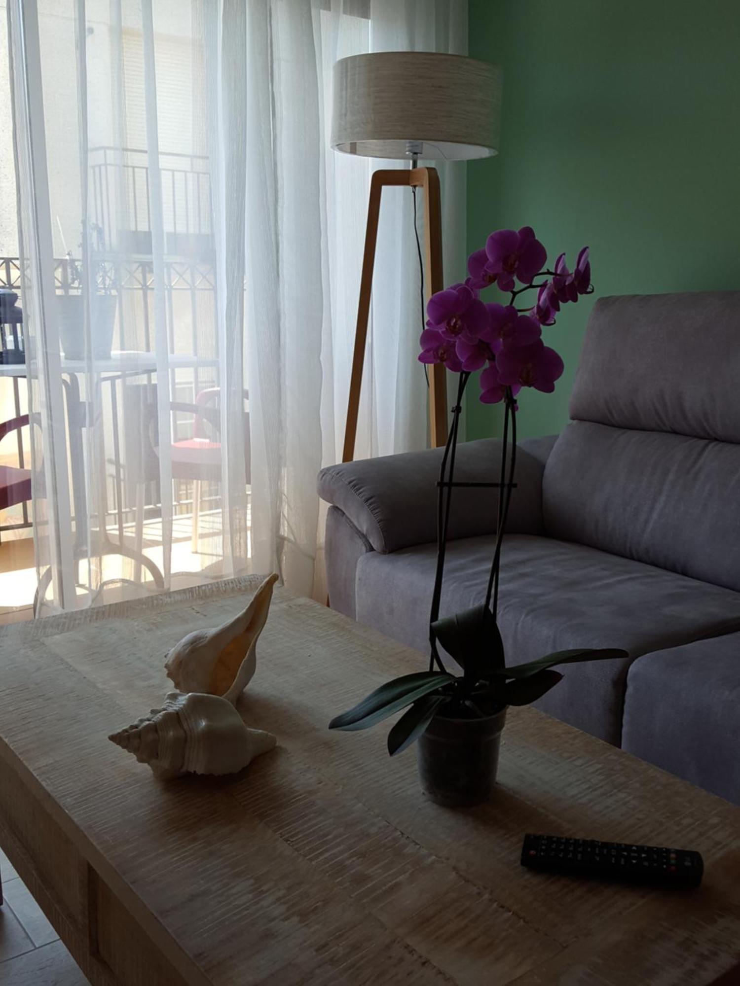 Apartamento Mandala Confort Y Encanto A Pie Playa *