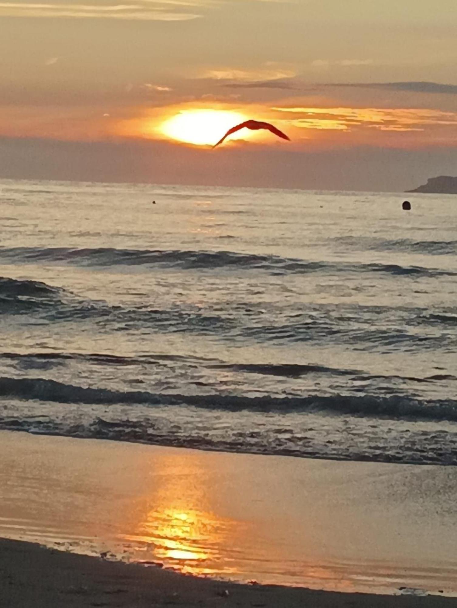 Precioso Vacaciones En Zona Ramallosa