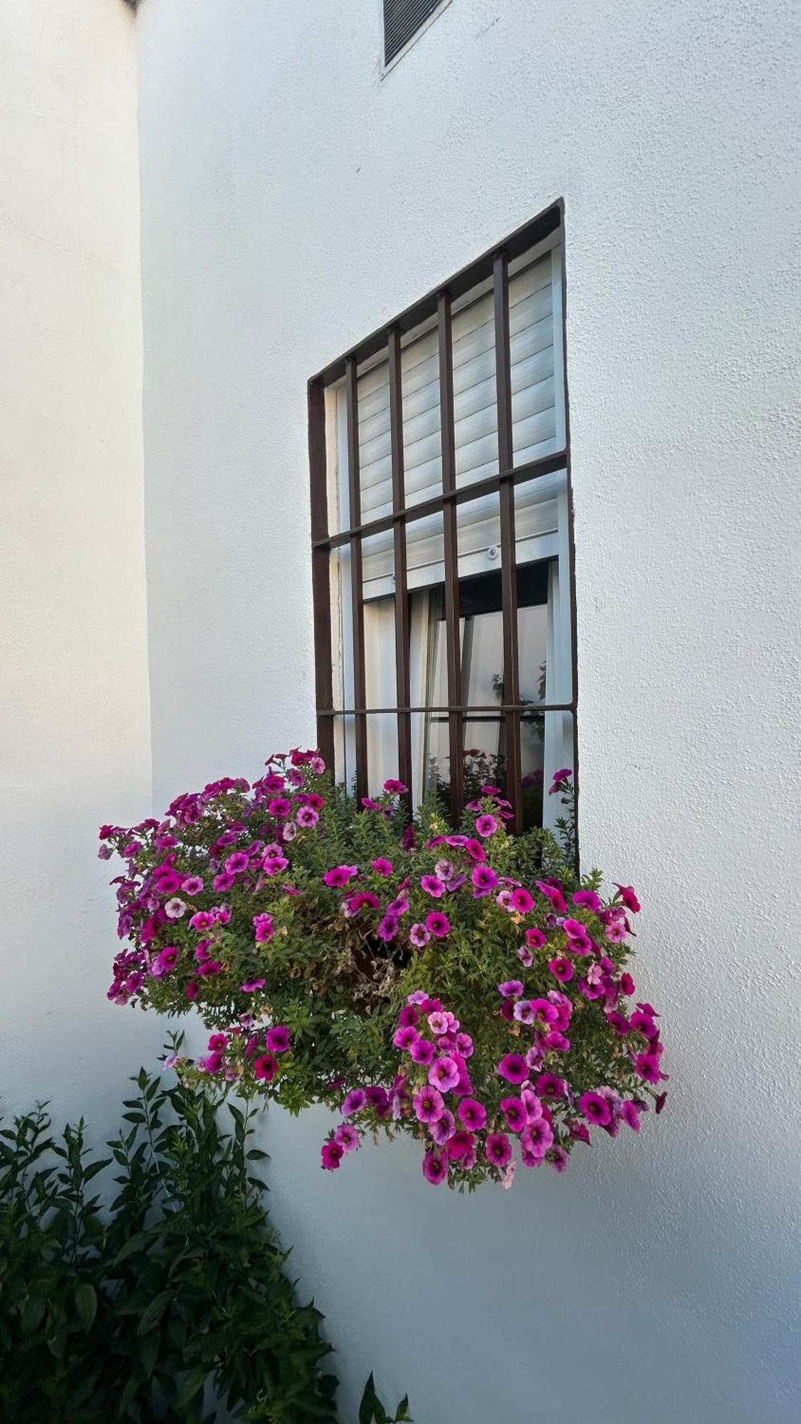 Leyendas En La Axerquia Holiday home