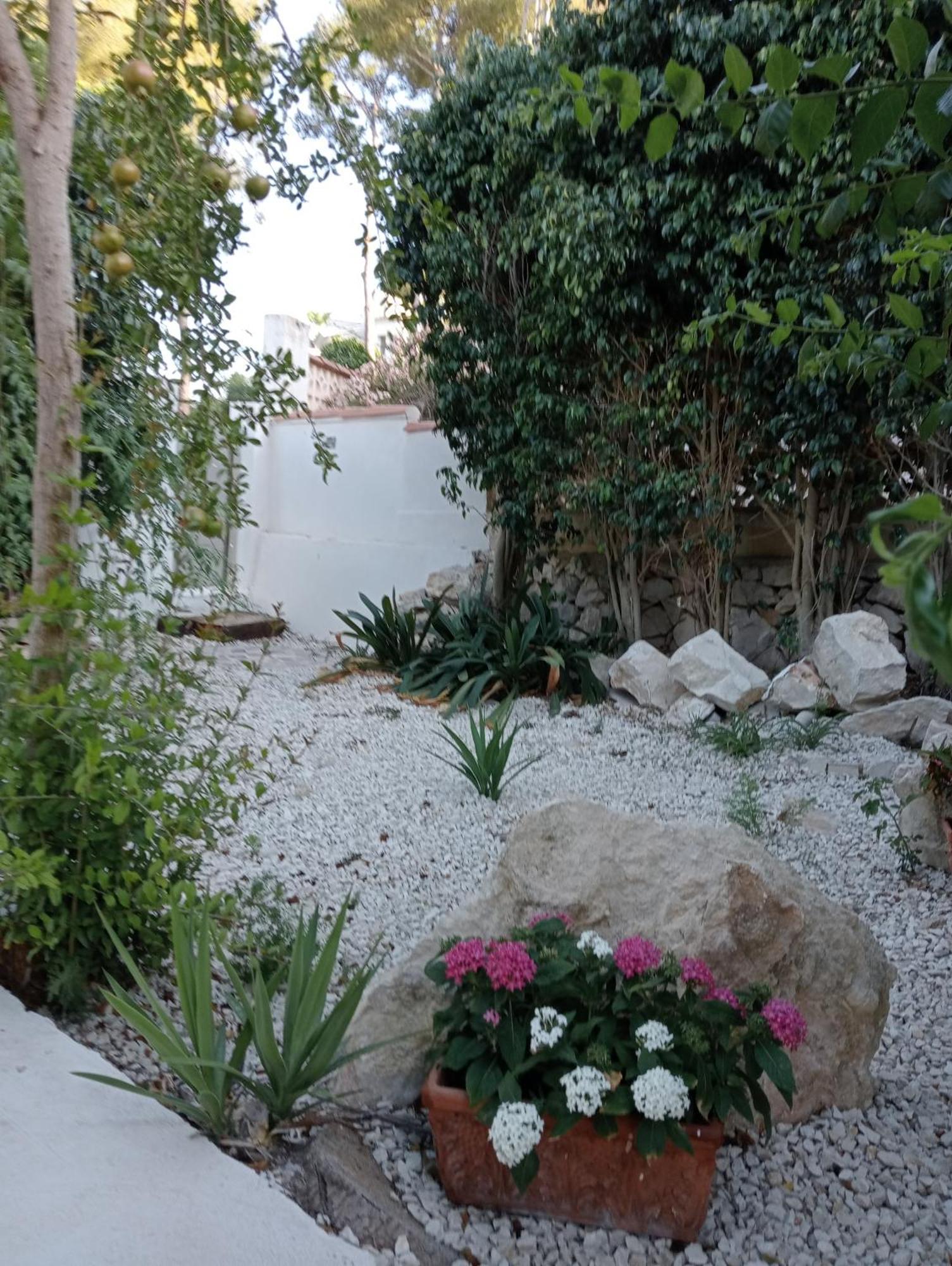 Mayari Moraira
