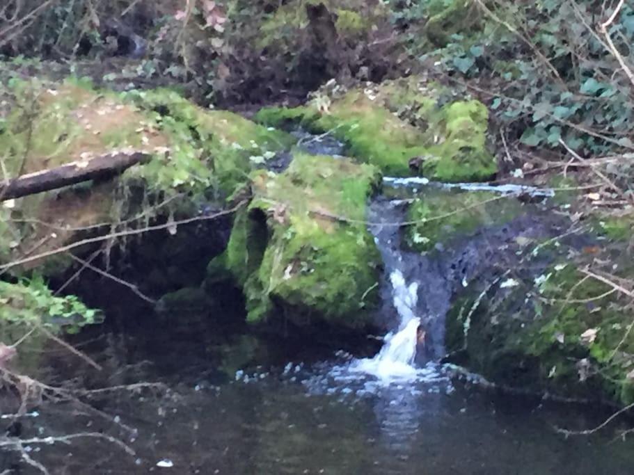 Con Piscina En La Naturaleza * Santa Maria De Trassierra