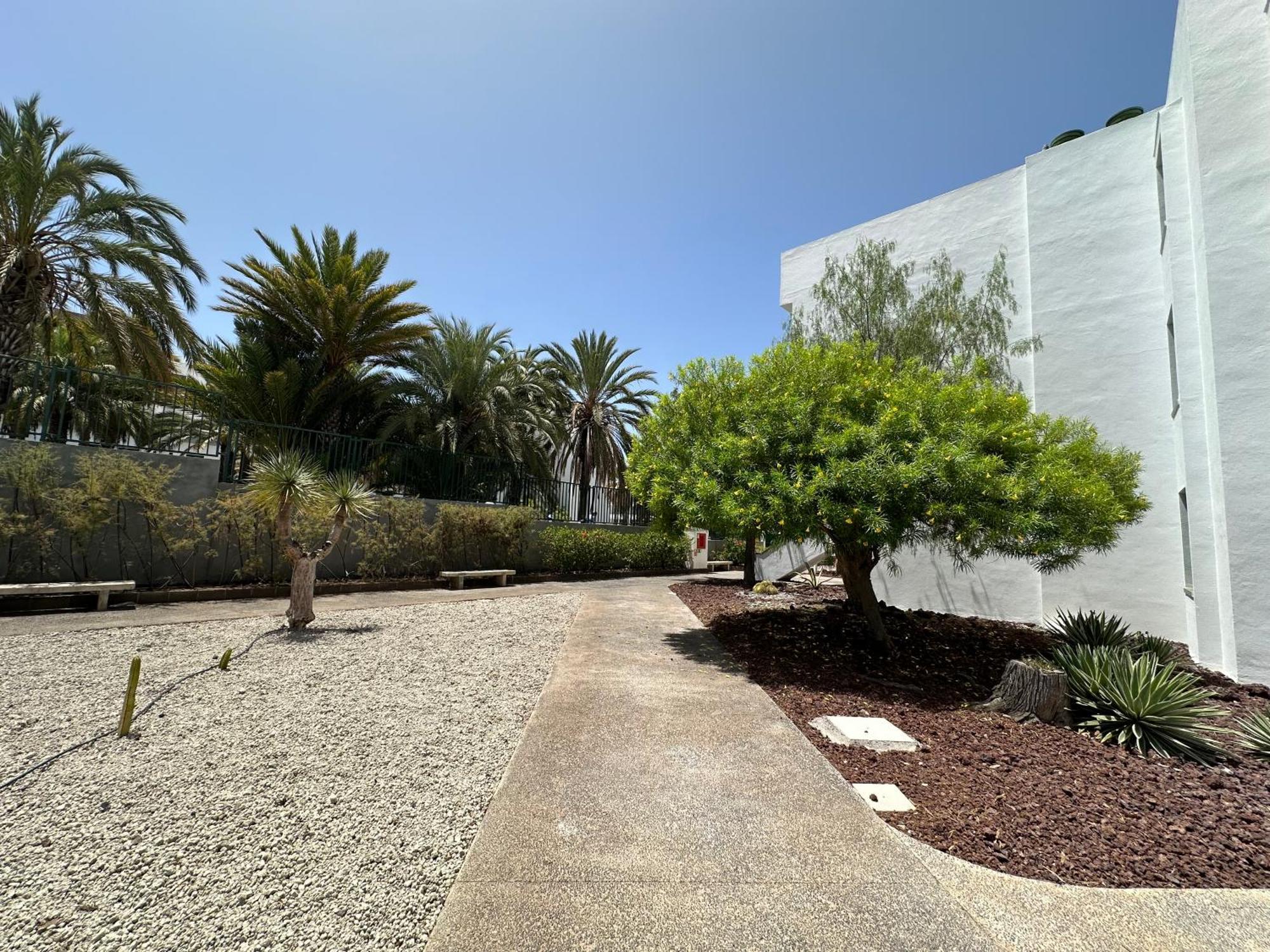 Centro Playa De Americas Apartment Arona (Tenerife)
