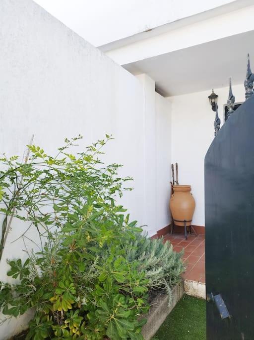 La Casita De Wilson Сasa de vacaciones