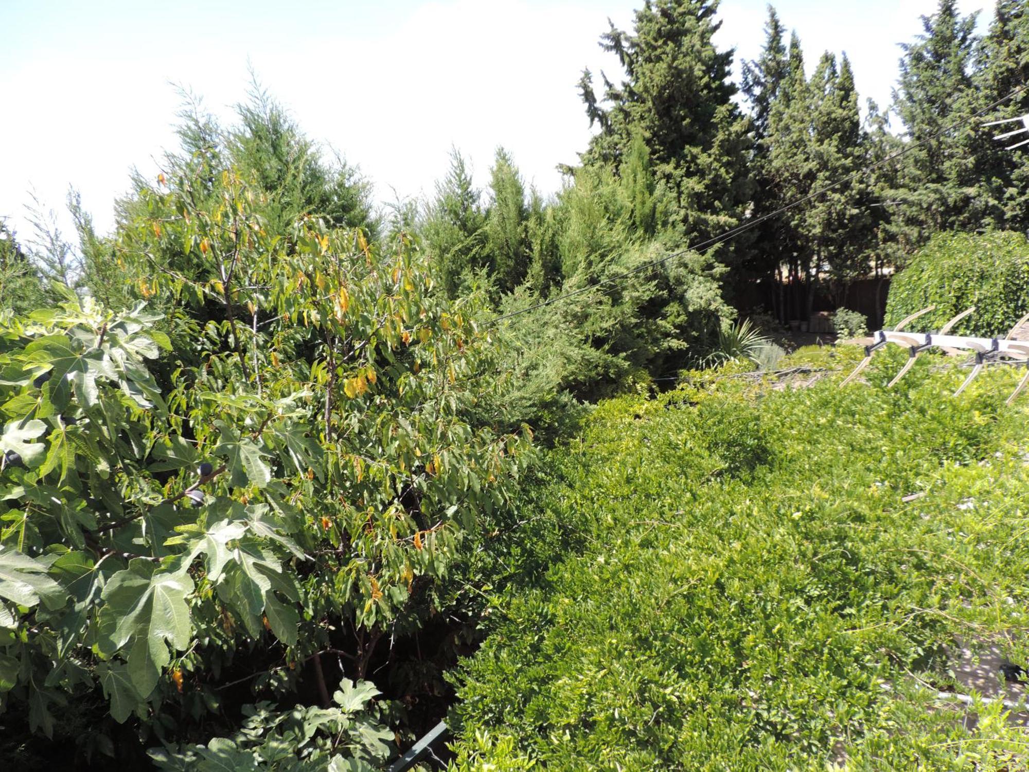 Casa Con Jardin Y Aparcamiento En Viznar, Junto A Granada * Viznar