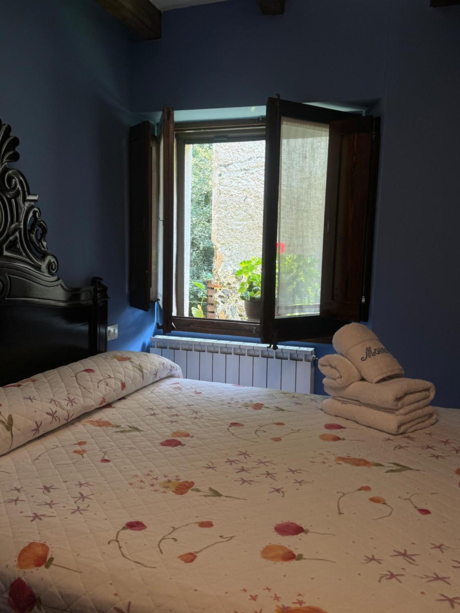 Country house Mas Masnou Olot
