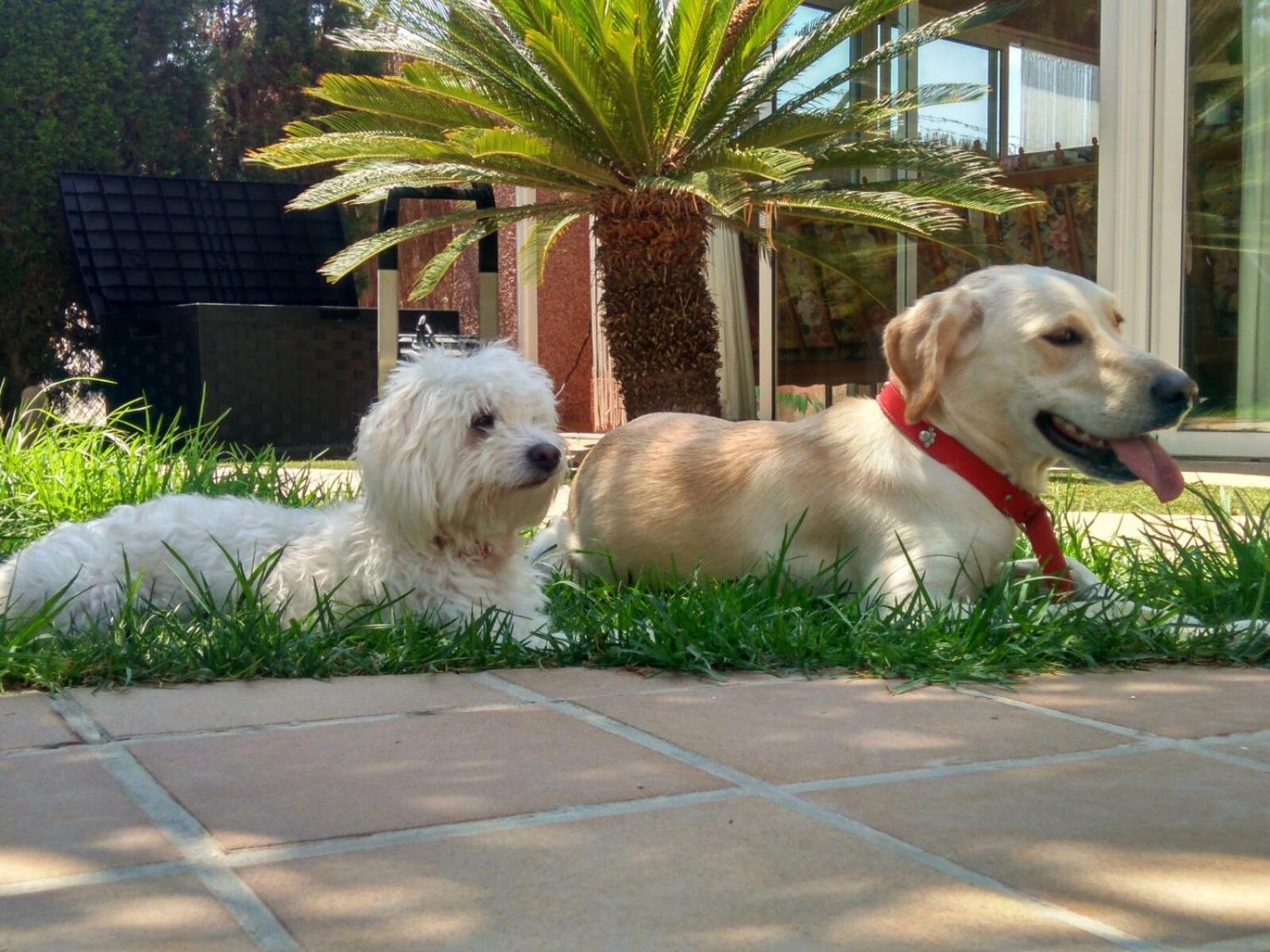 Casa Jardines De Lola *
