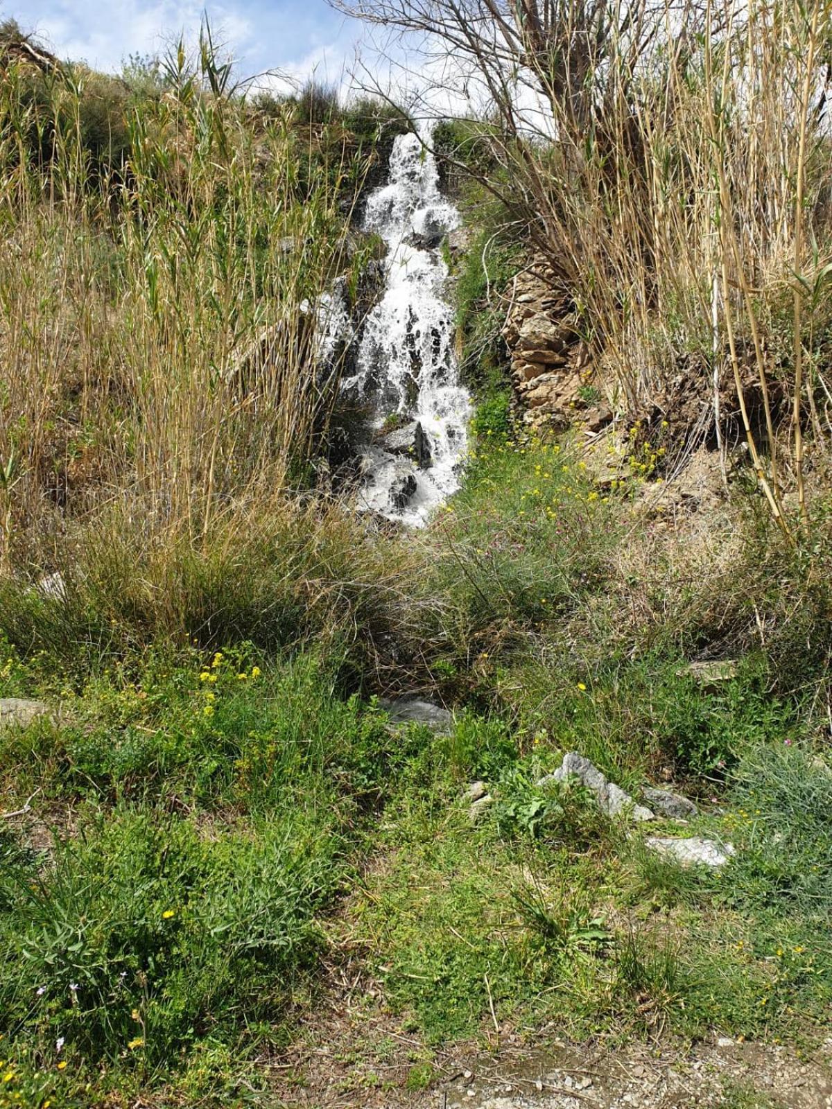 Serrano Abrucena