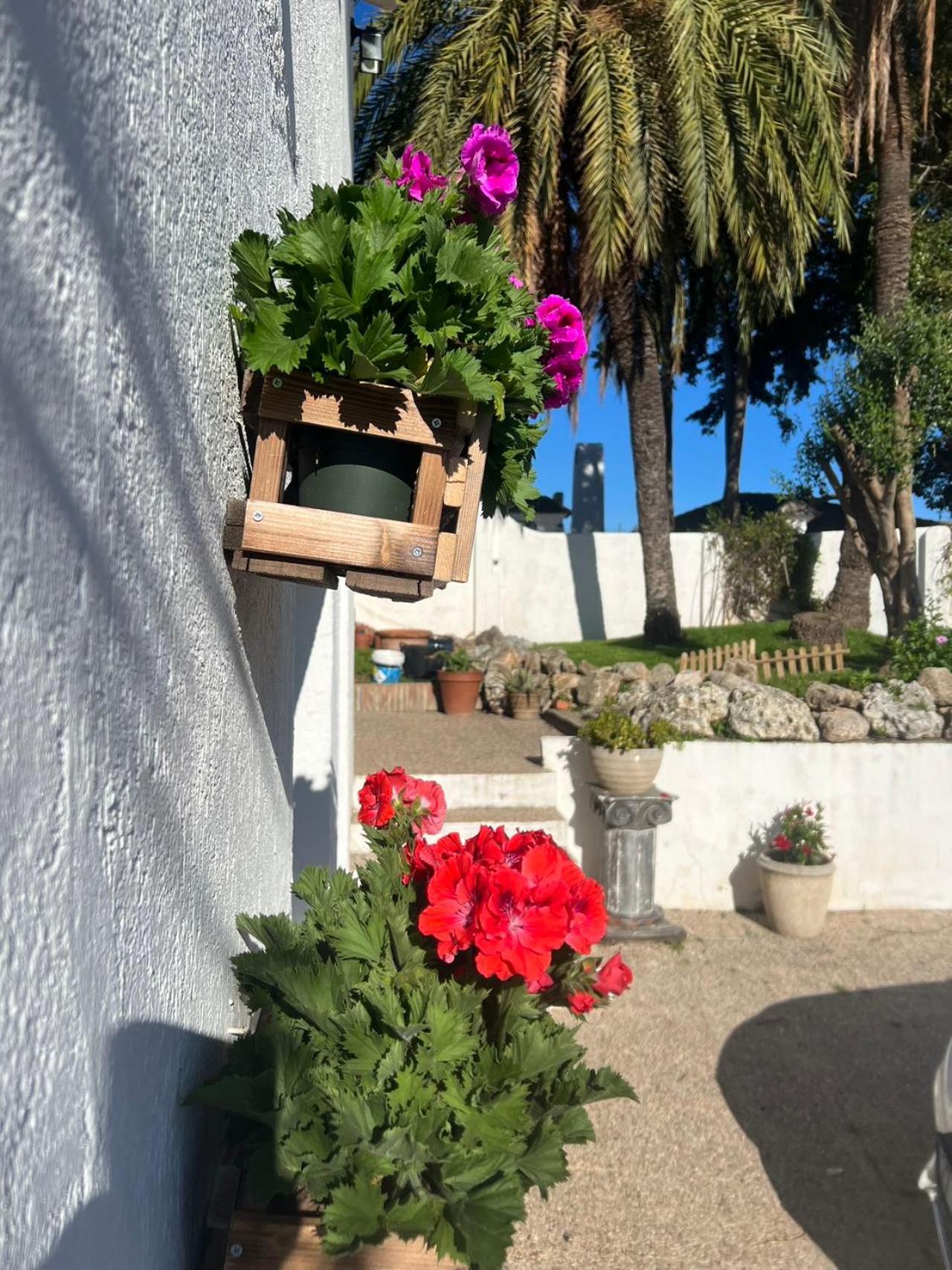 Marbella别墅独立房带泳池