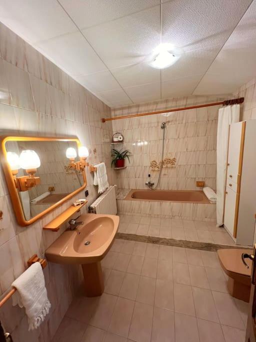 Casa Teto, Ideal Families I Grups * Bot