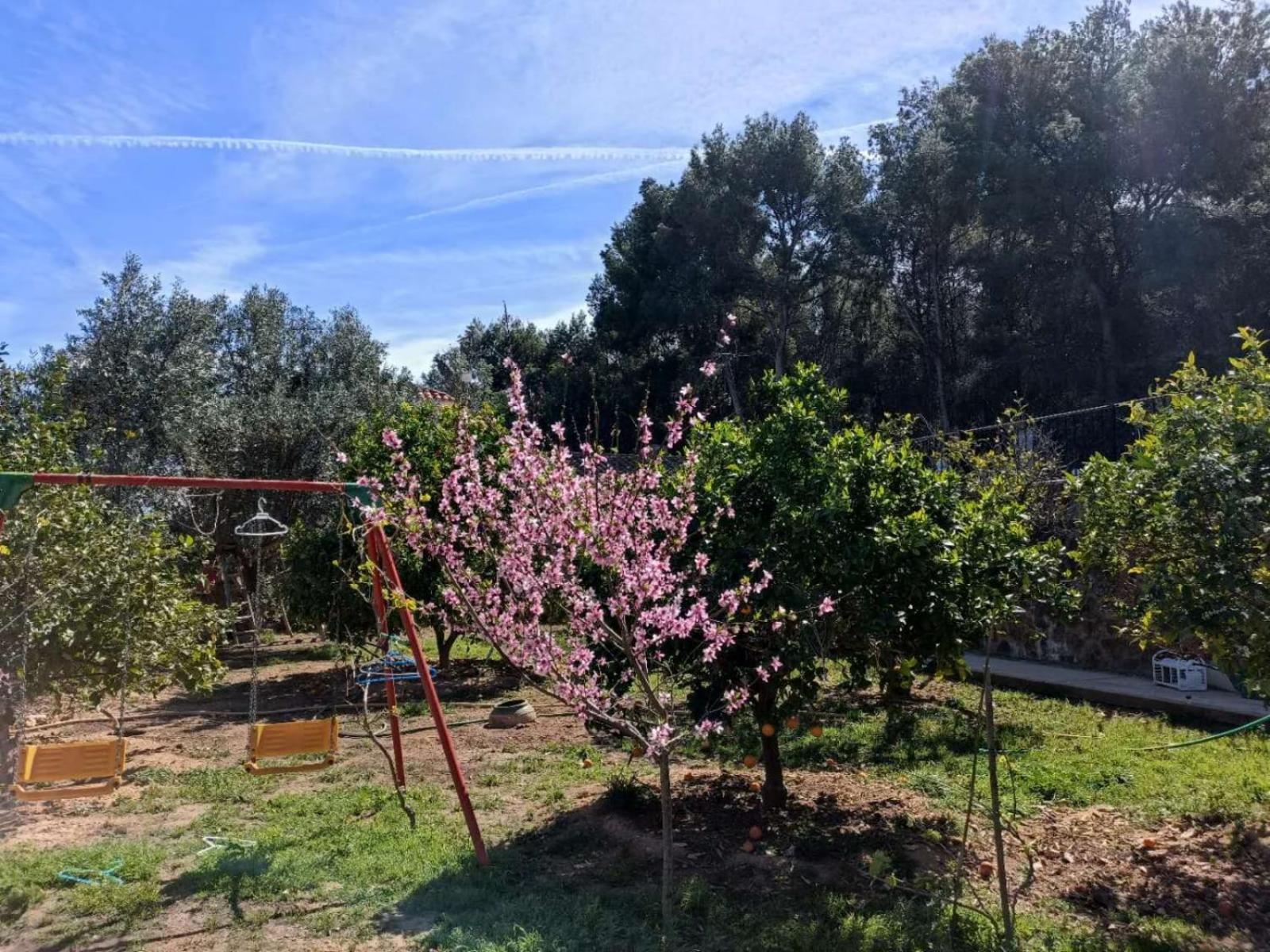 Bedroom With Private Bathroom And Two-bedroom Family In Quiet Forest 80m2 Large Swimming Pool Music Town The Garden And Swimmingpool And Garden Are Shared Homestay Lliria