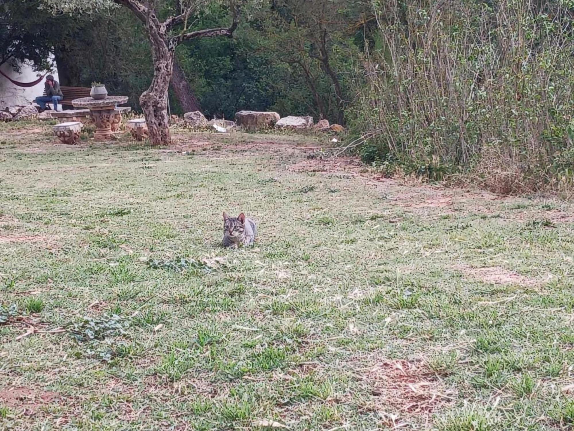 Belvilla By Oyo Mas Set Rengs Сasa de vacaciones Guardiola de Font-Rubi