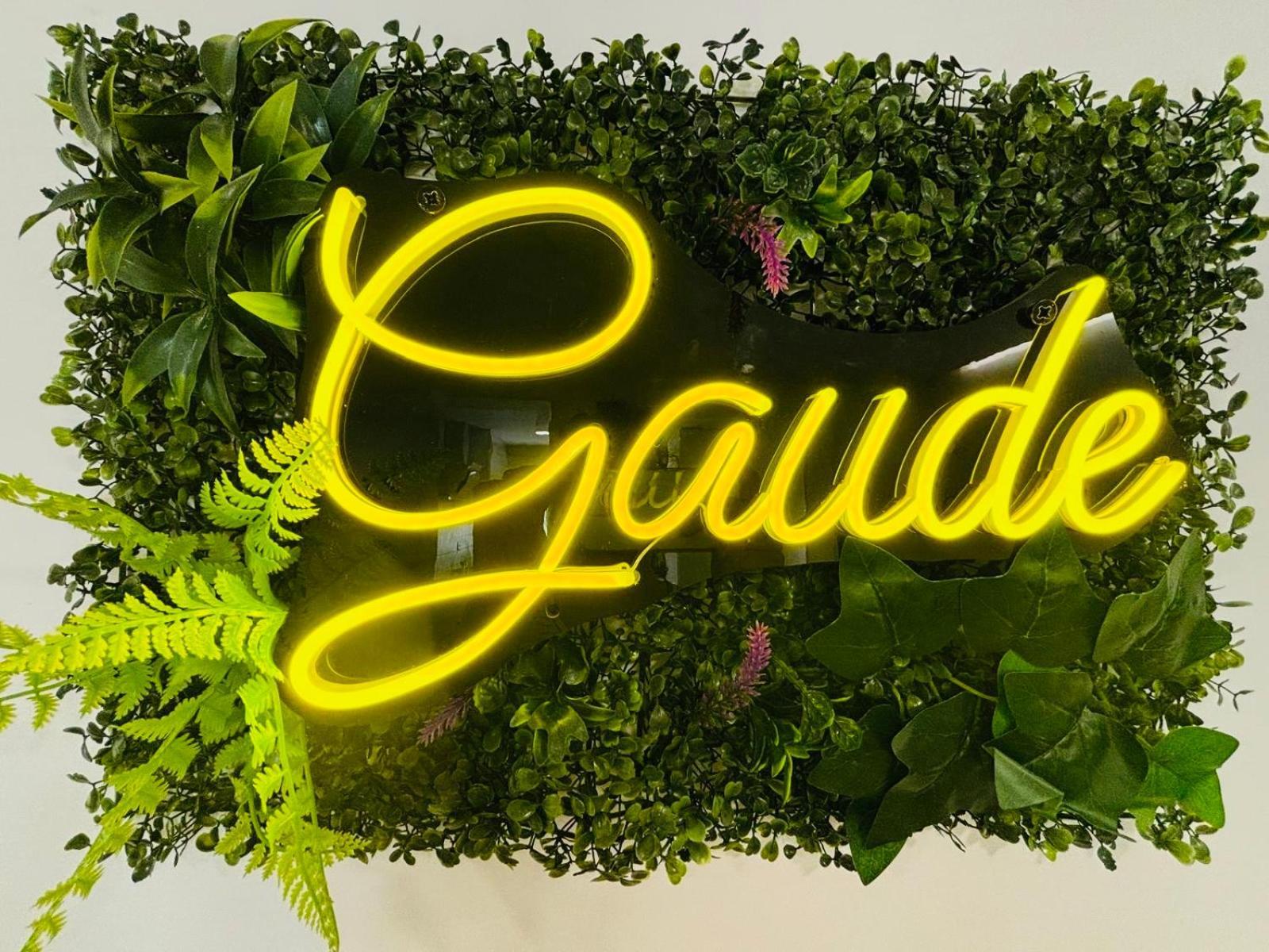 Gaude - Birdie Albacete