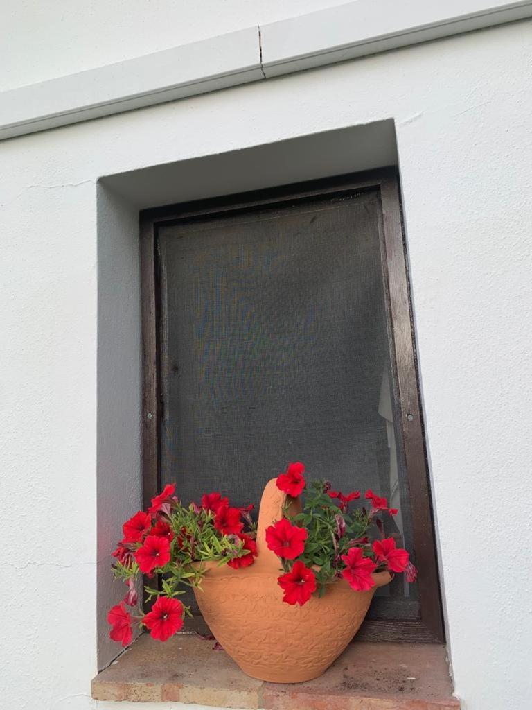 La Portilla Holiday home Aroche