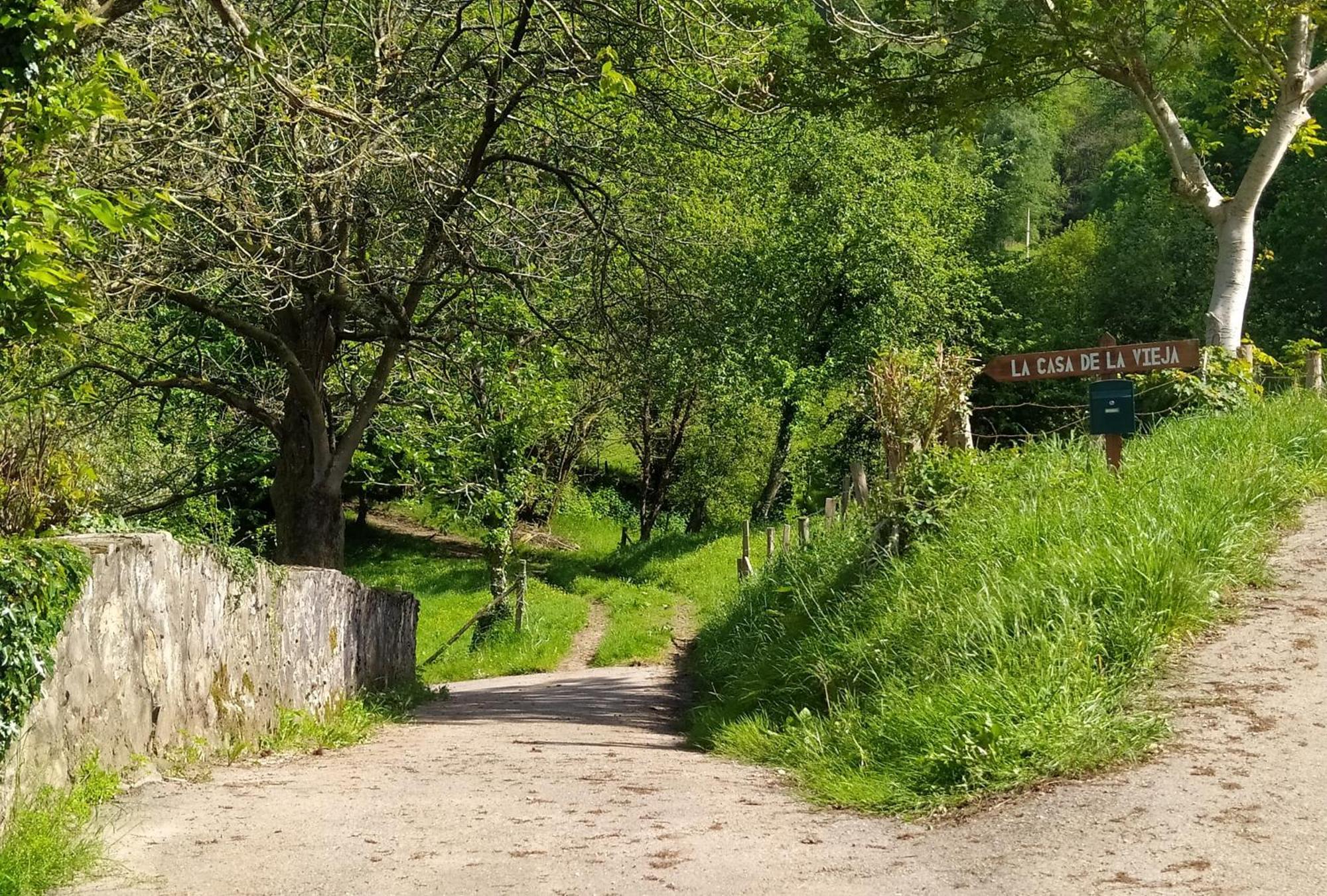 La Casa De La Vieja *