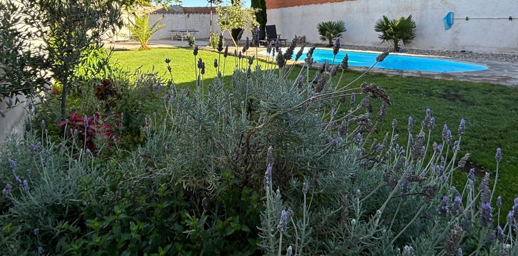 Apartamento Mandres. Casa Con Jardin Y Piscina. Proximo A Puy Du Fou. *
