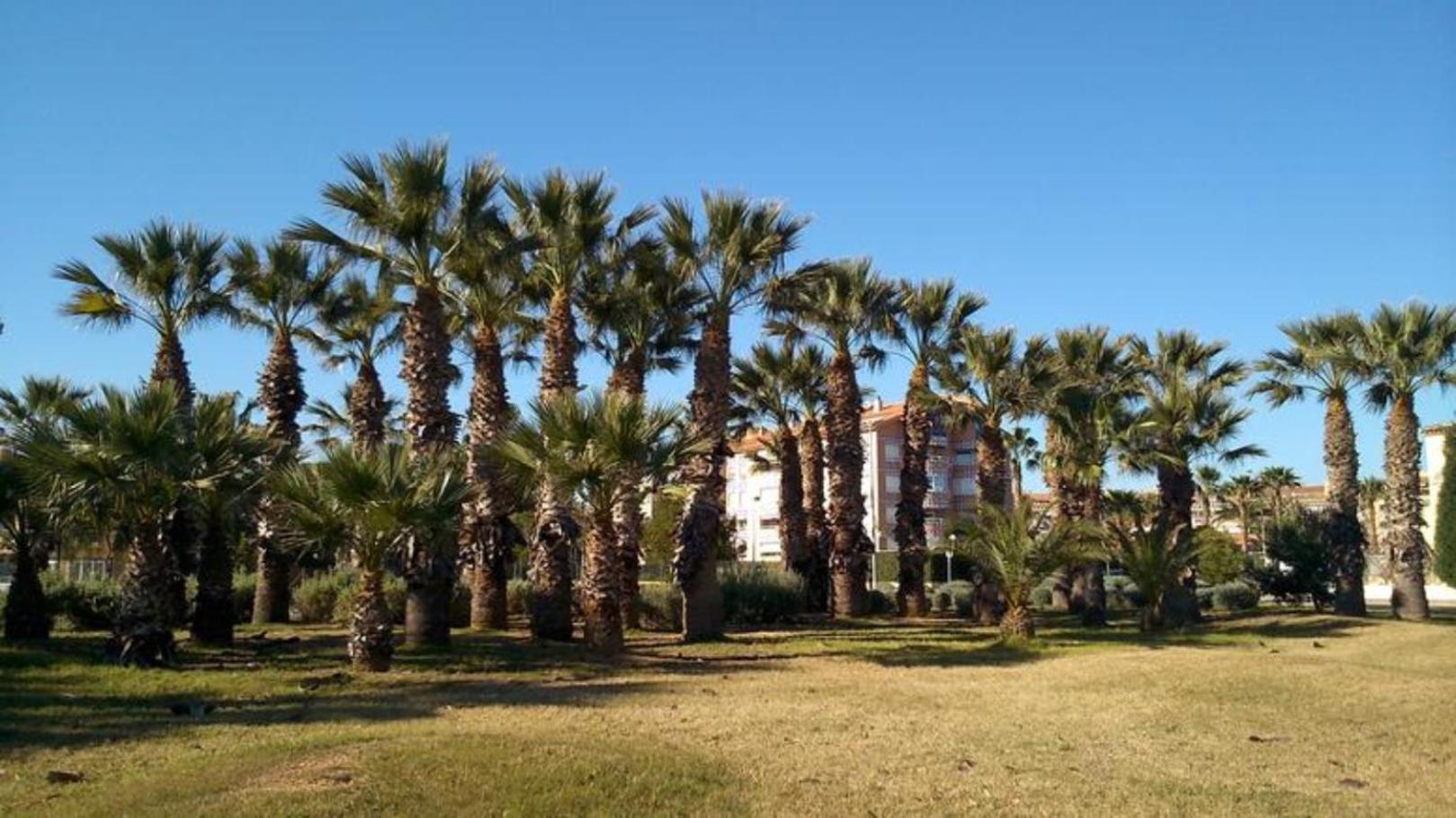 Apartamento Turistico Elcano Grao de Castellon