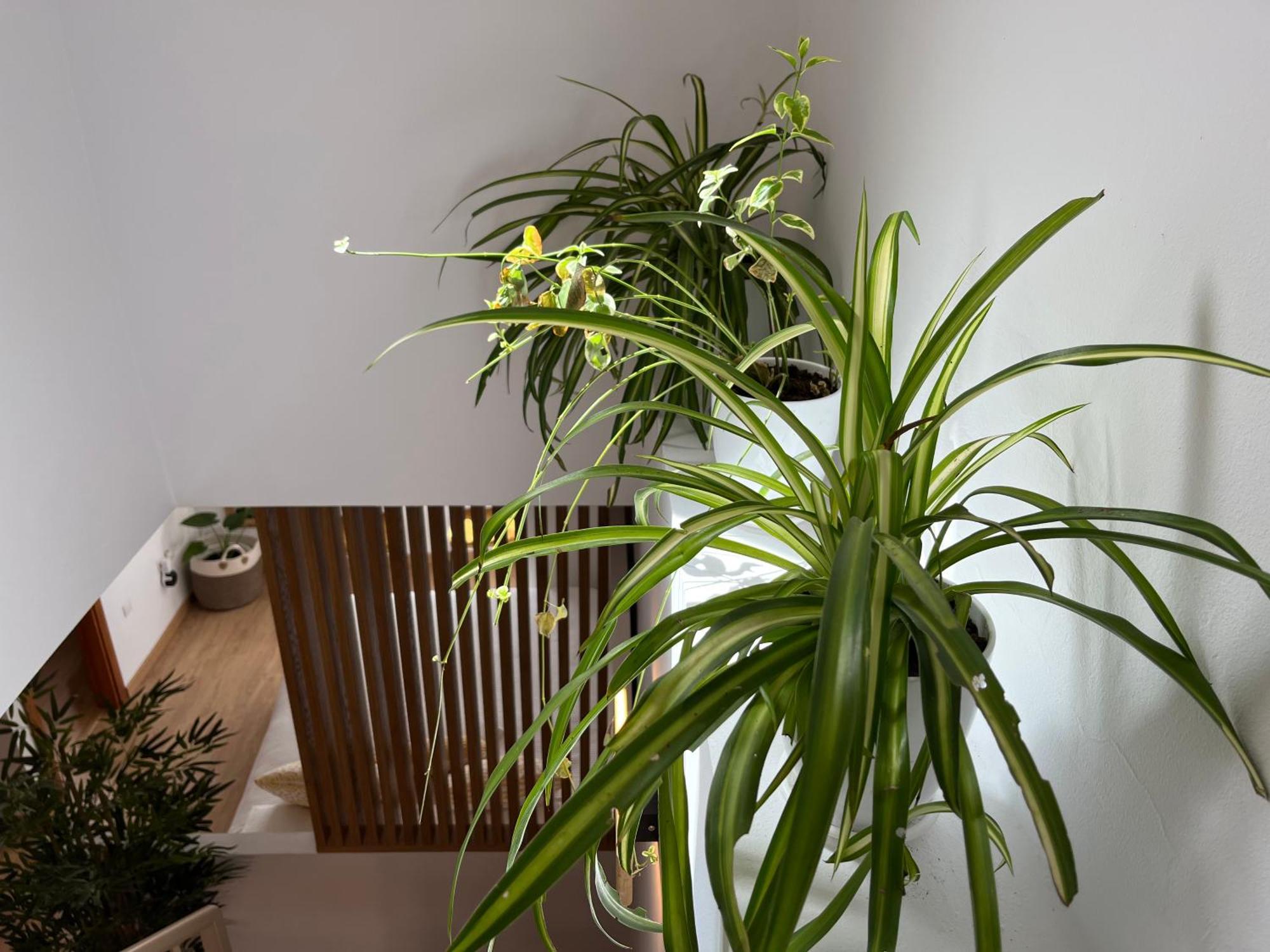 Apartment Duplex Con Terraza Privada Y Parking A 15 Minutos De Sevilla Dos Hermanas