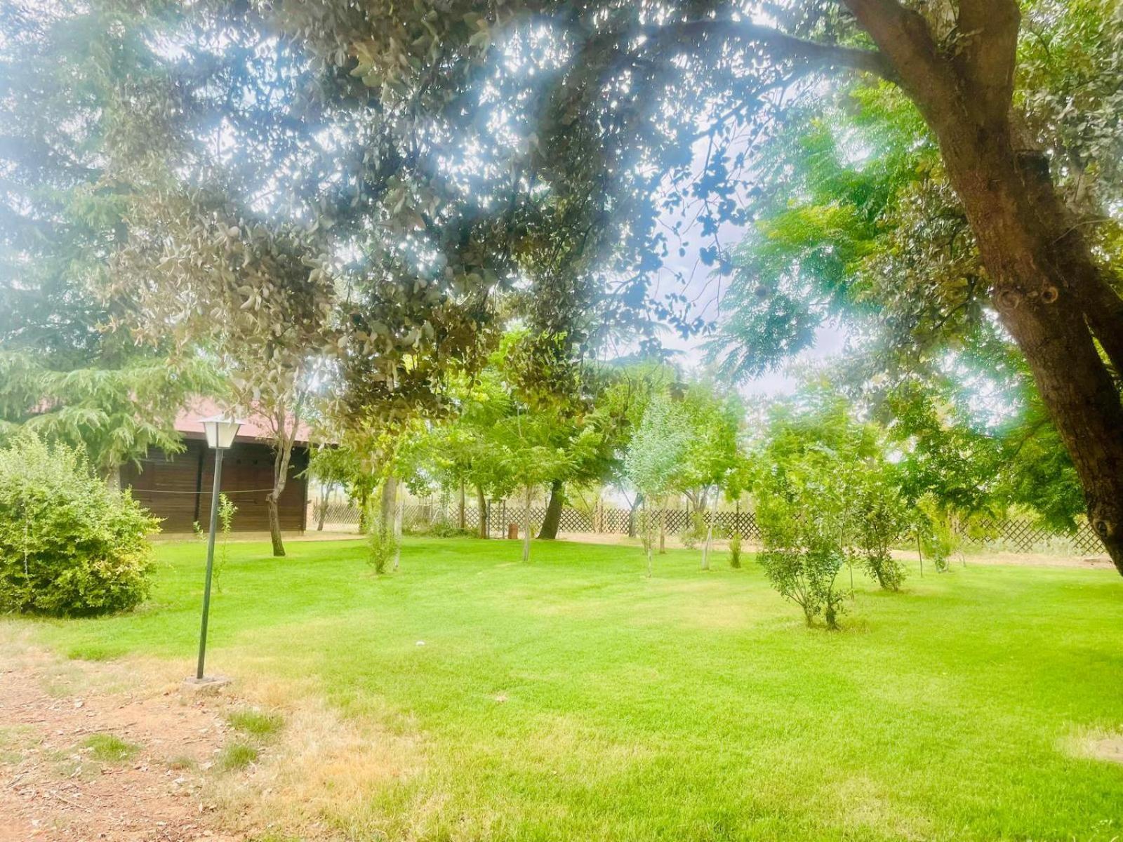 Farm stay Tabla Honda El Robledo (Ciudad Real)