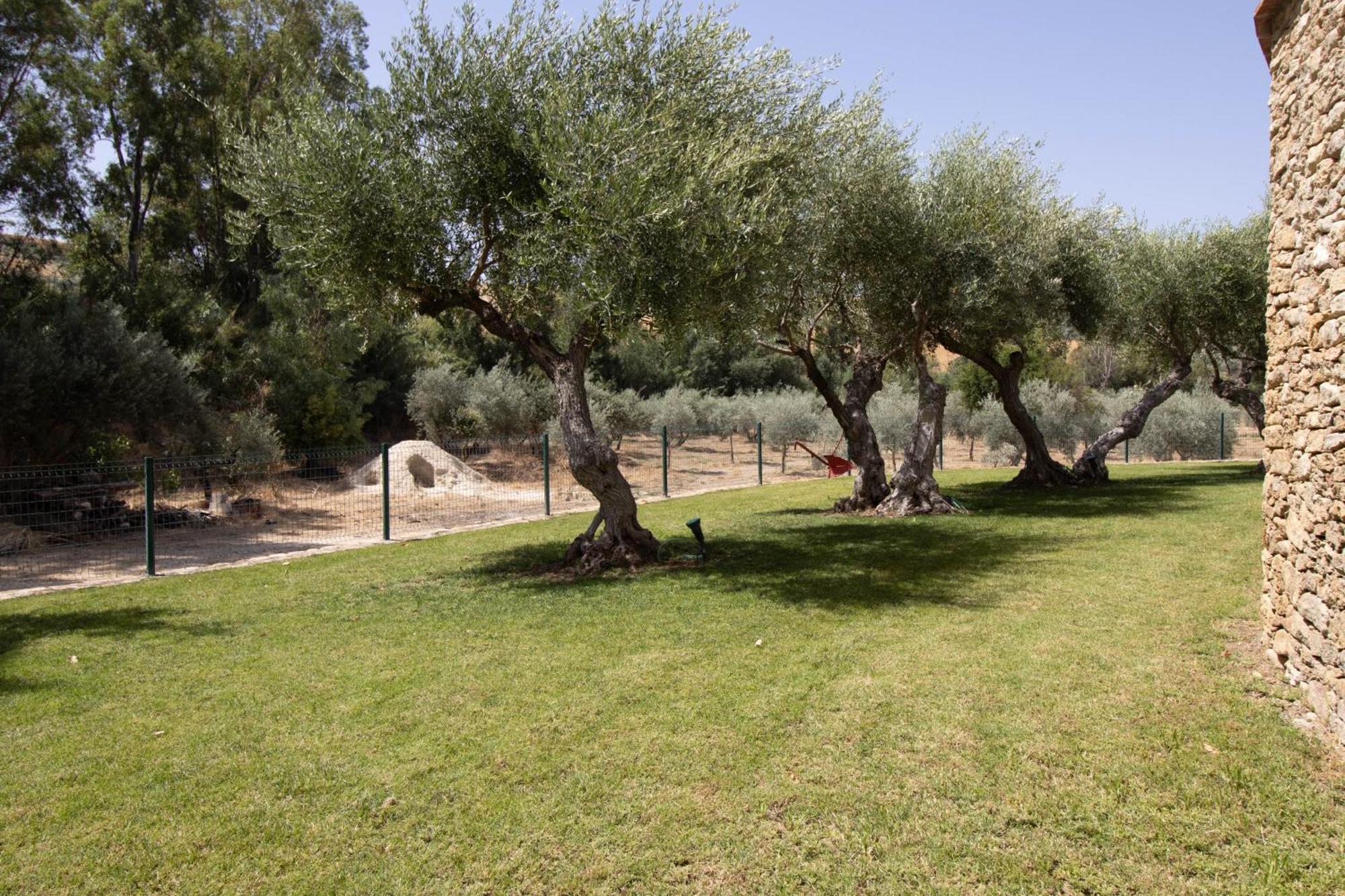 Cortijo San Antonio De Trejo Chalet *