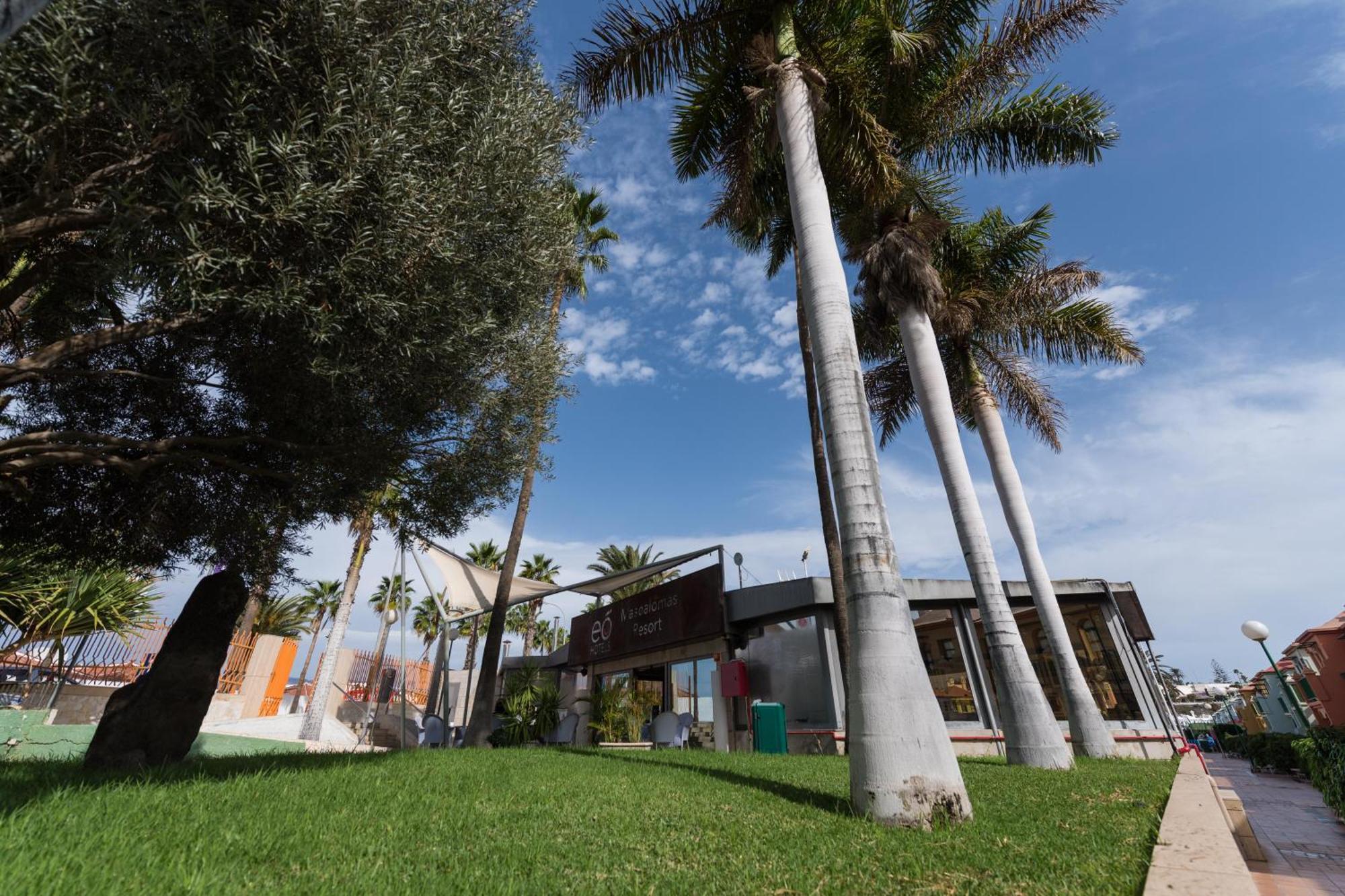 Eó Maspalomas * Maspalomas (Gran Canaria)