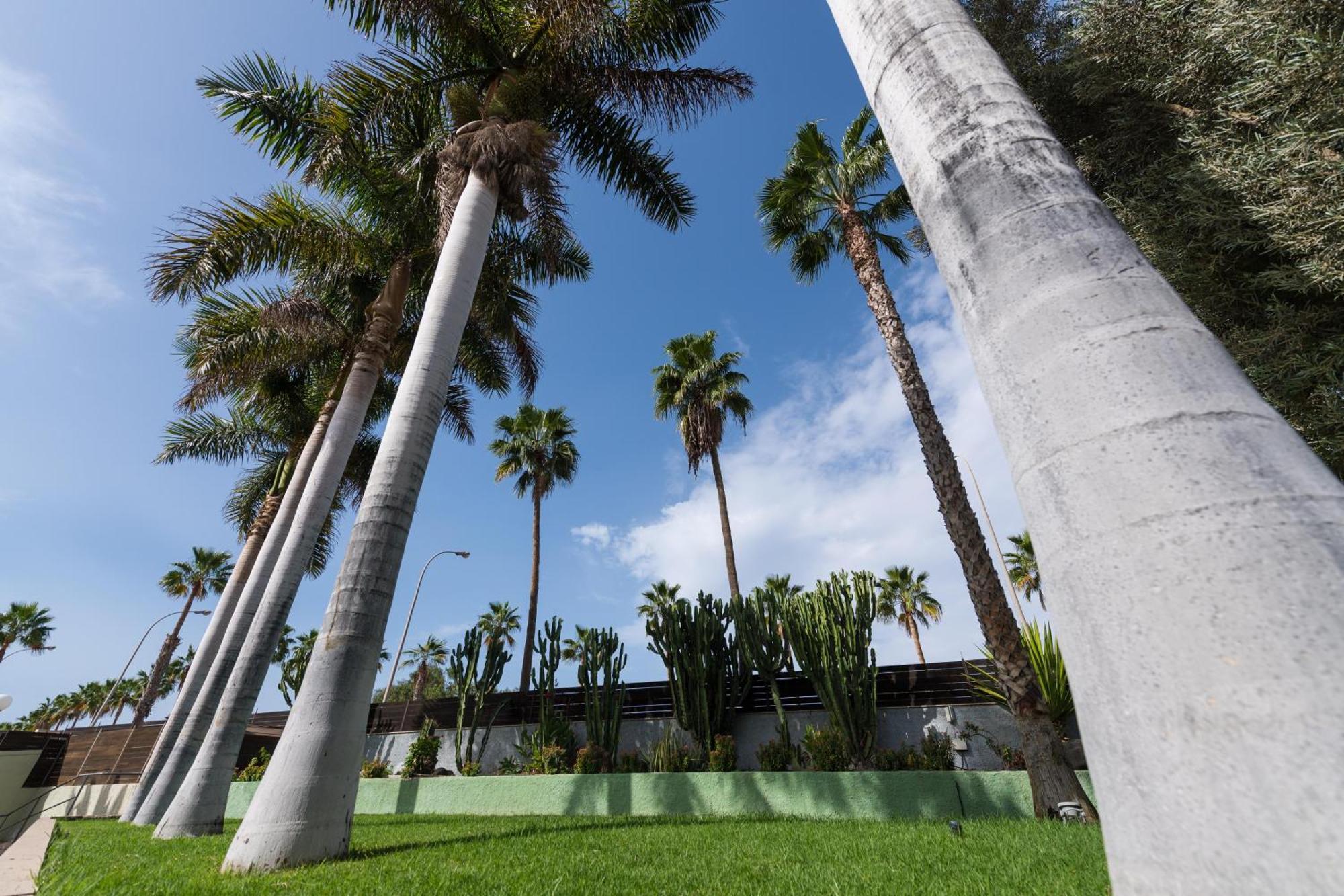 Eó Maspalomas Apartamento