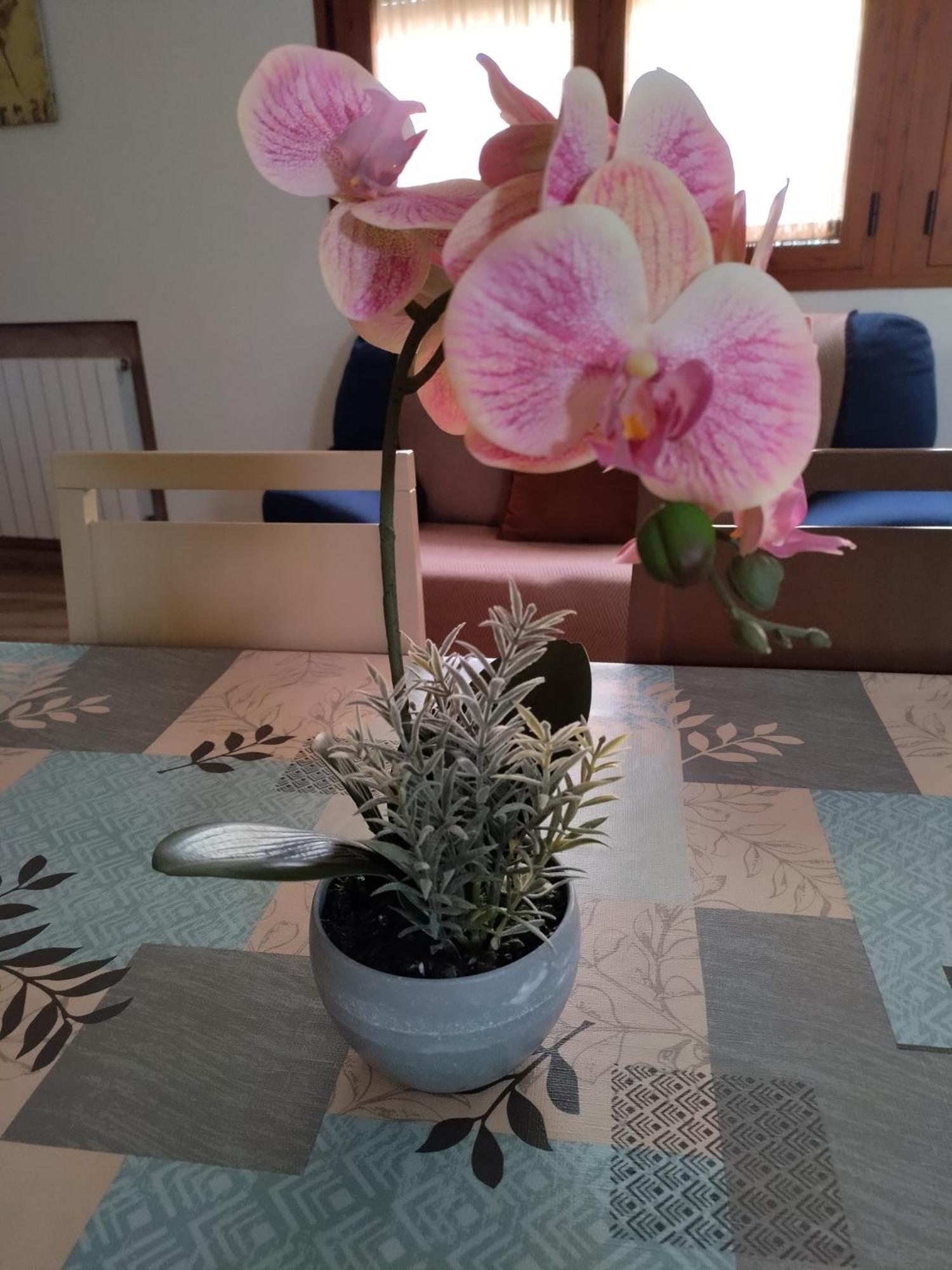 Zafranales Apartment