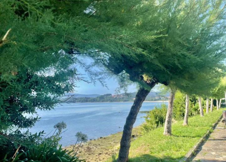 ático Con Vistas A La Ría De Arosa Apartamento