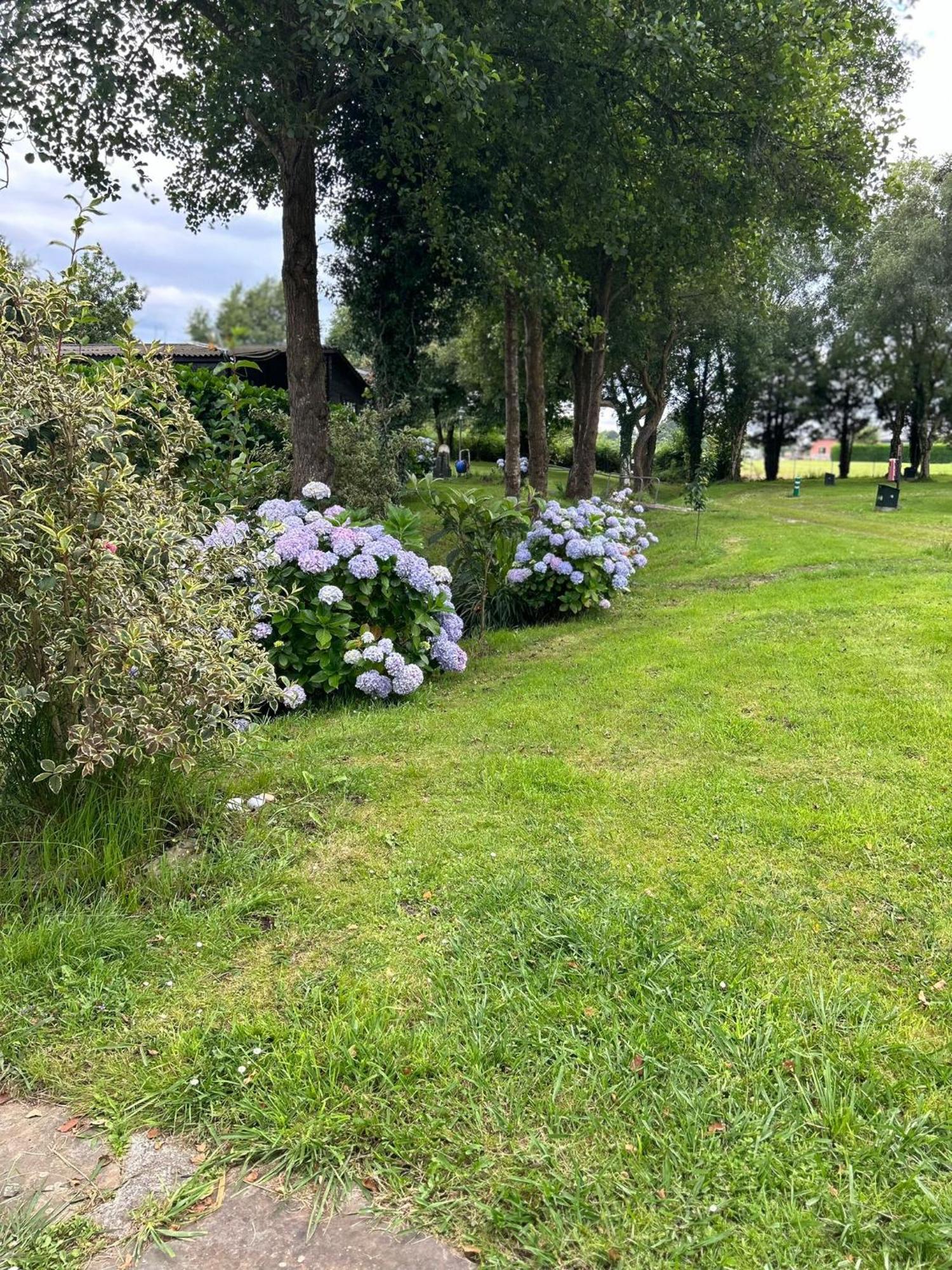 Campsite A Grandella *