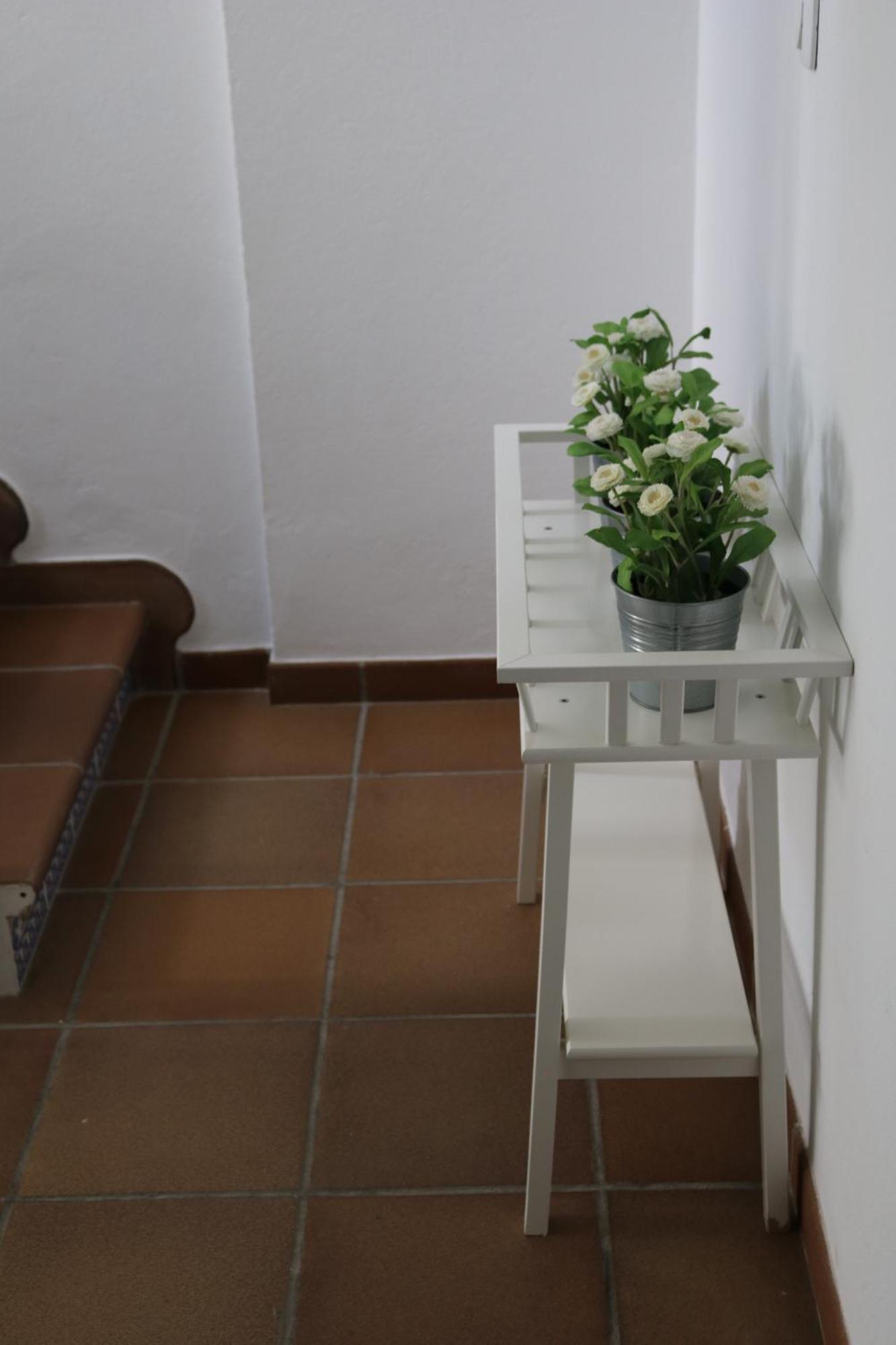 Apartment Balcones Del Molinero *