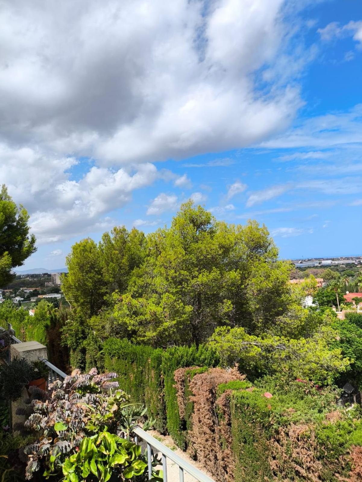 Apartamento Apartemento Monika Monte Pedrera C 5 Aussicht