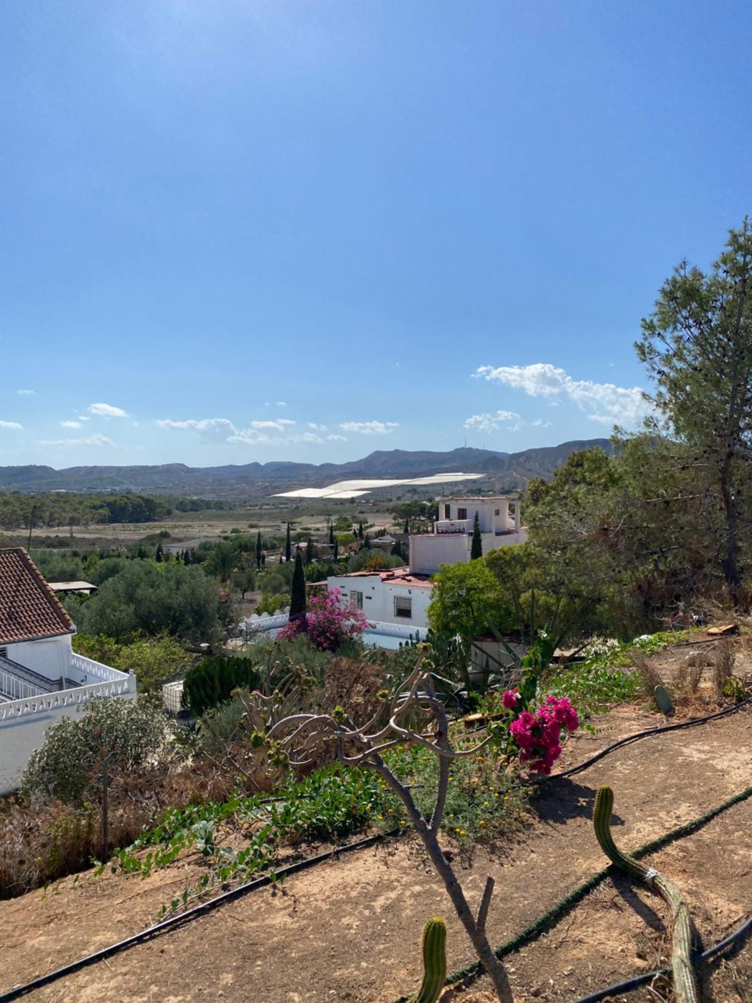 La Famille Alicante