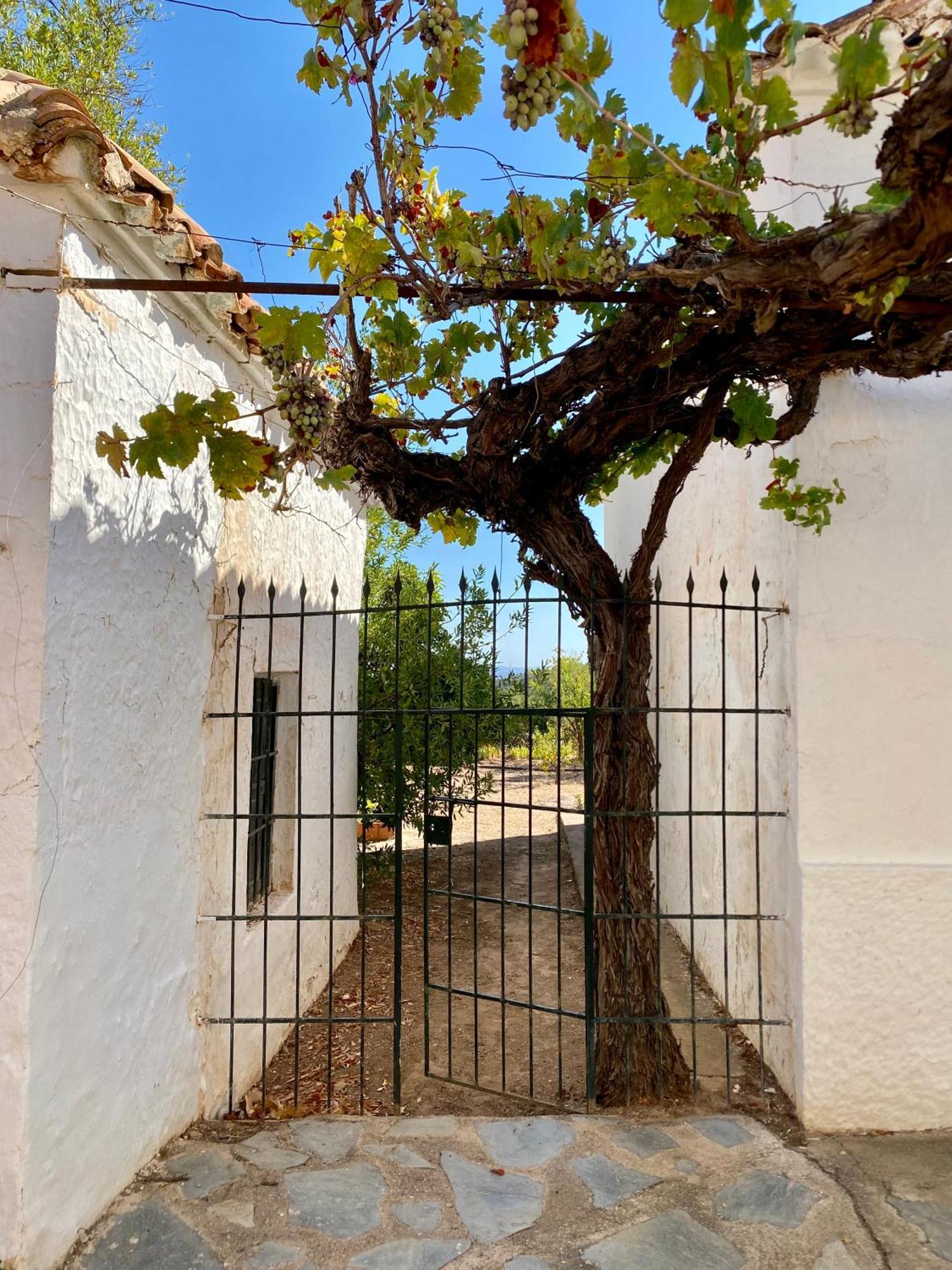 Real Fundicion De Alcora Villa